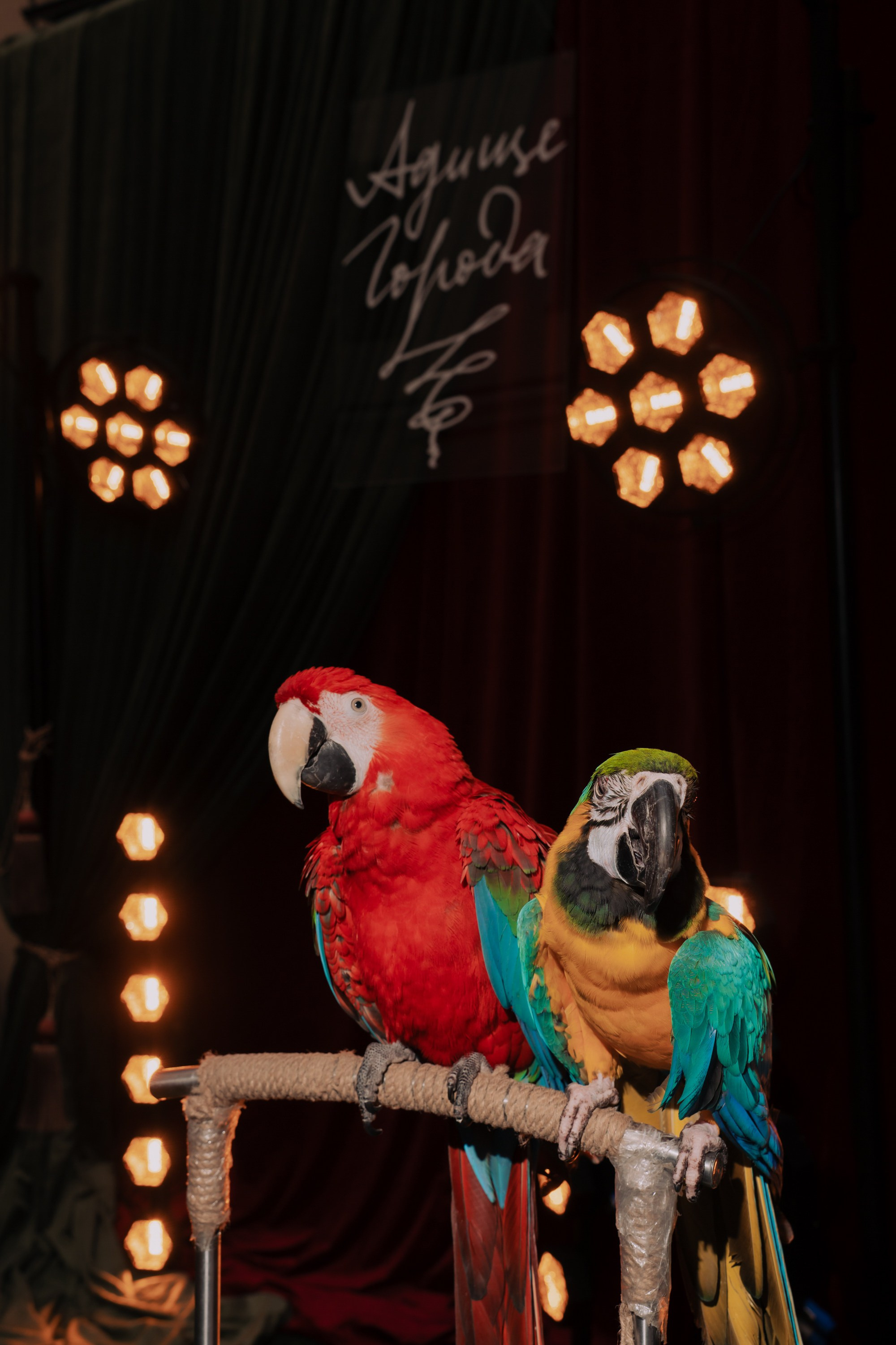 Адище города. Портретный и репортажный фотограф в Санкт-Петербурге Максим Пашков