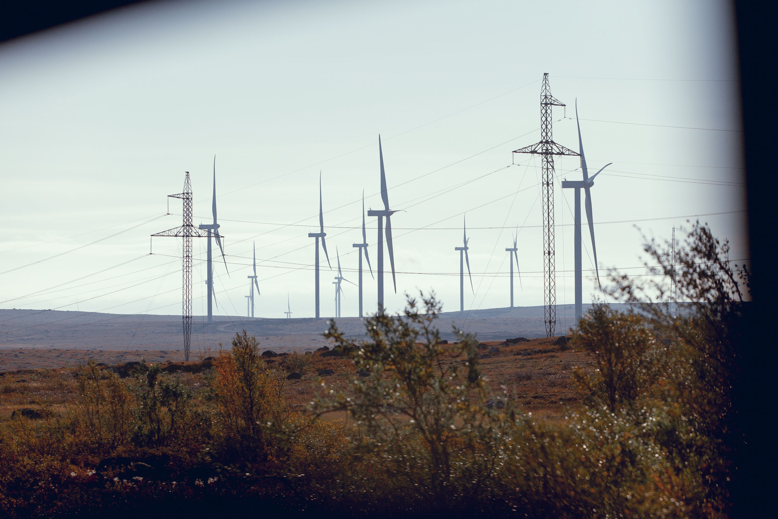 Кольский (осень 2025). Фотограф Виноградов Константин