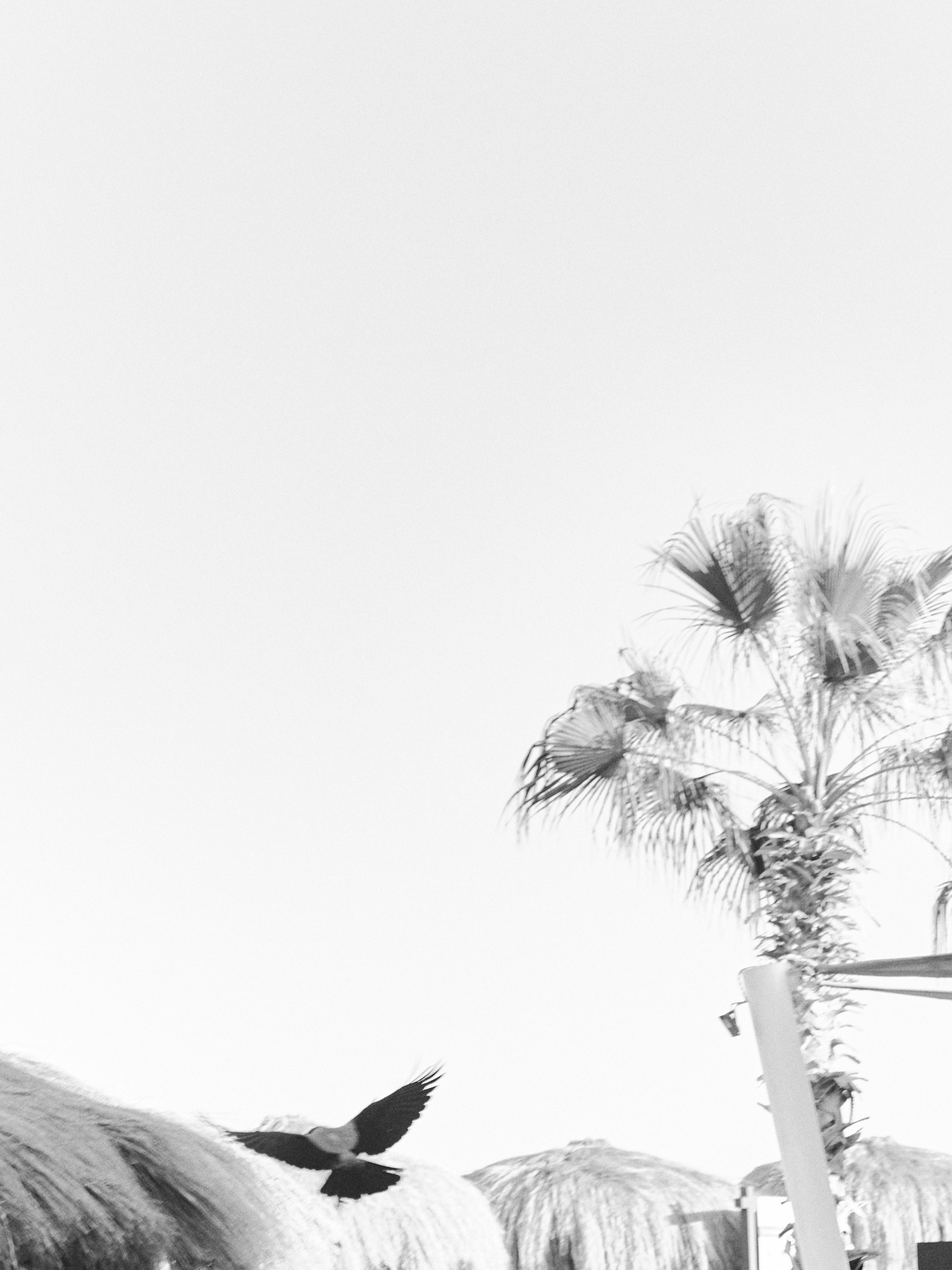 B&W. Jorgis — фотограф в Хургаде / обучение фотографии