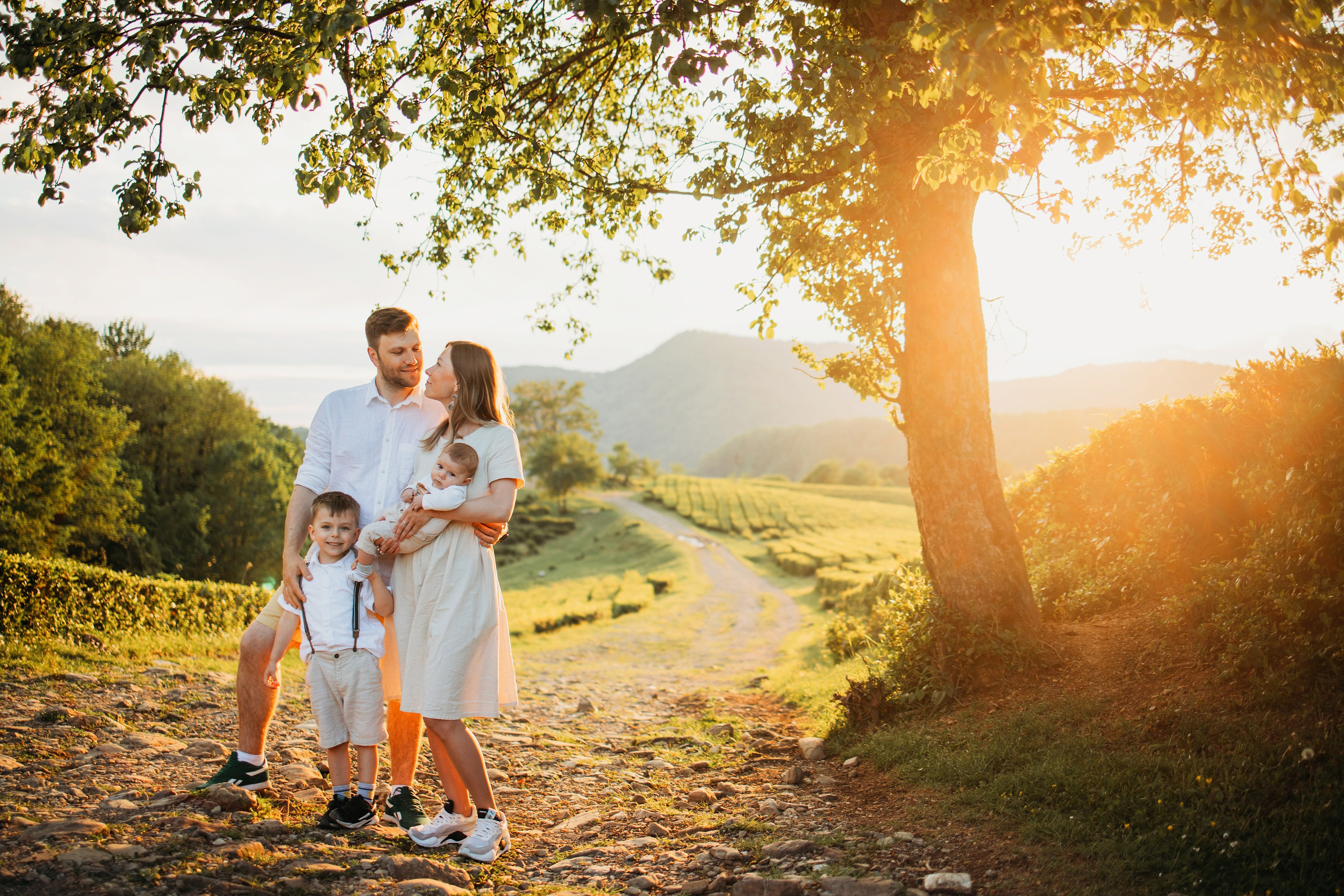 Чайные плантации мацеста. Фотограф Сочи Татьяна Зорина