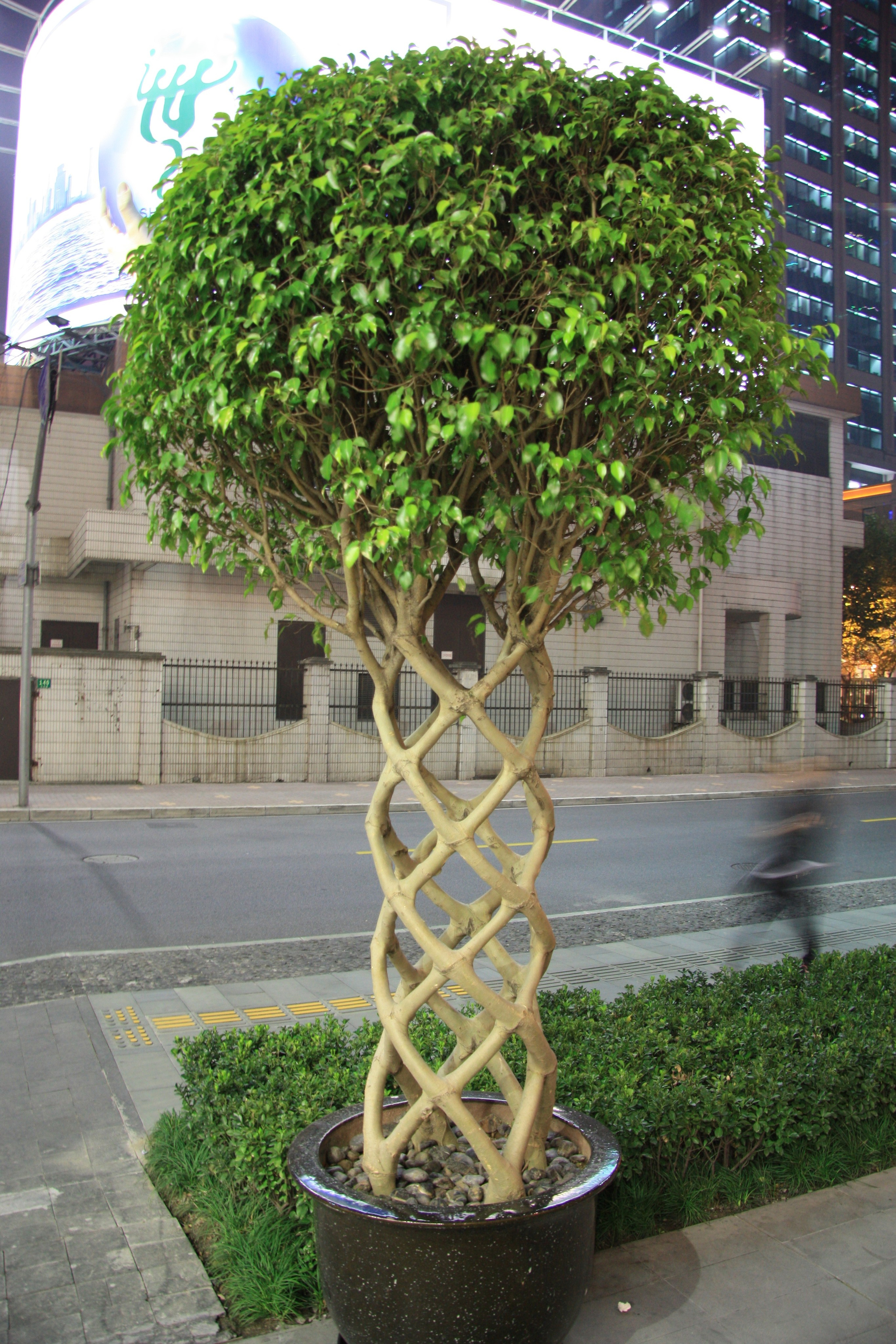 Репортаж. Фотограф в Санкт Петербурге Viktory_Get