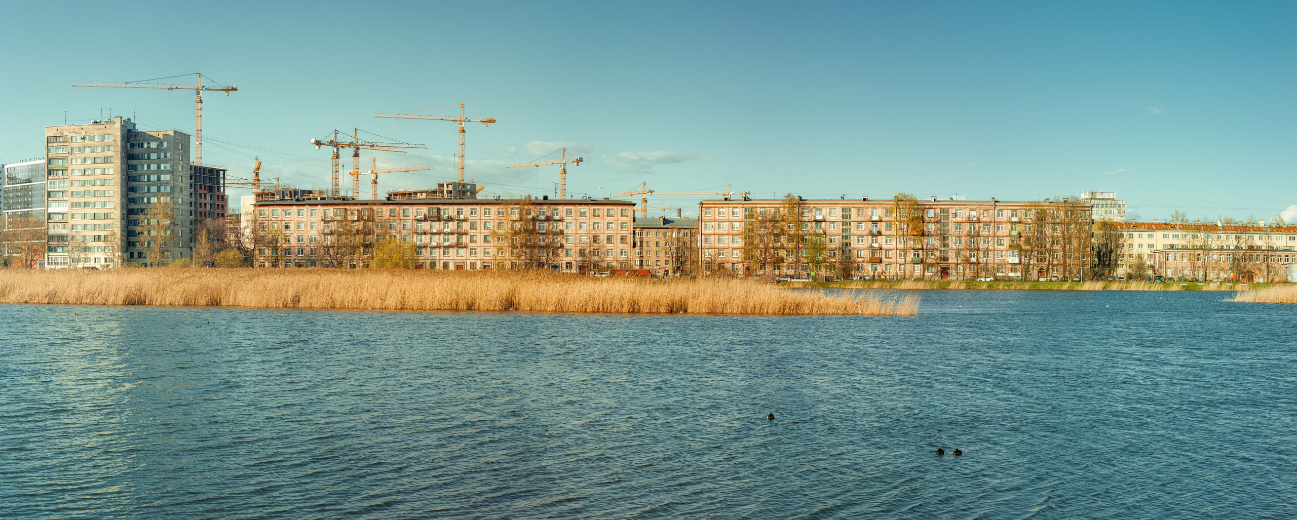 Санкт-Петербург. Фотограф Балаев Михаил