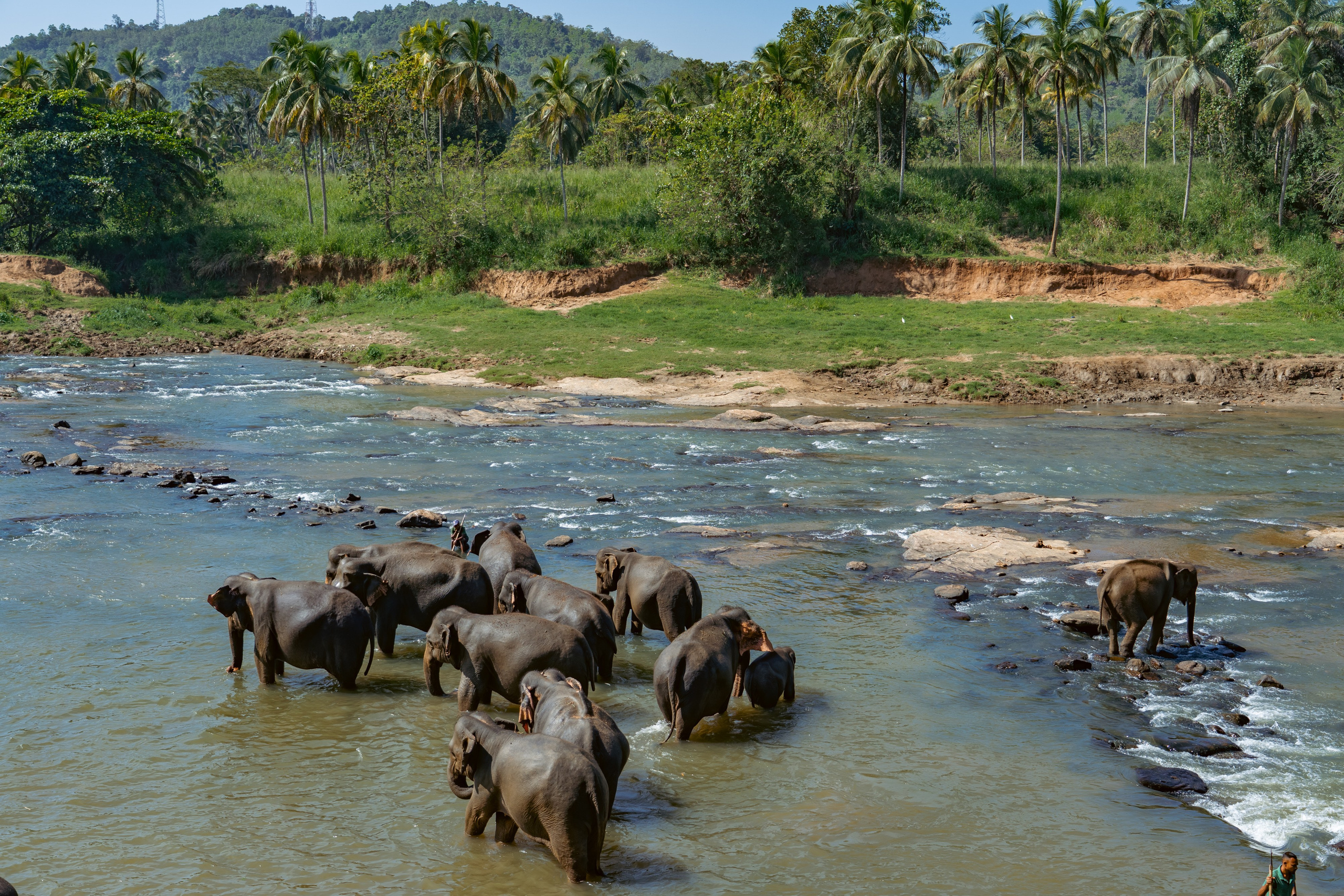 Promo content shooting for Ceylon Forward Tours