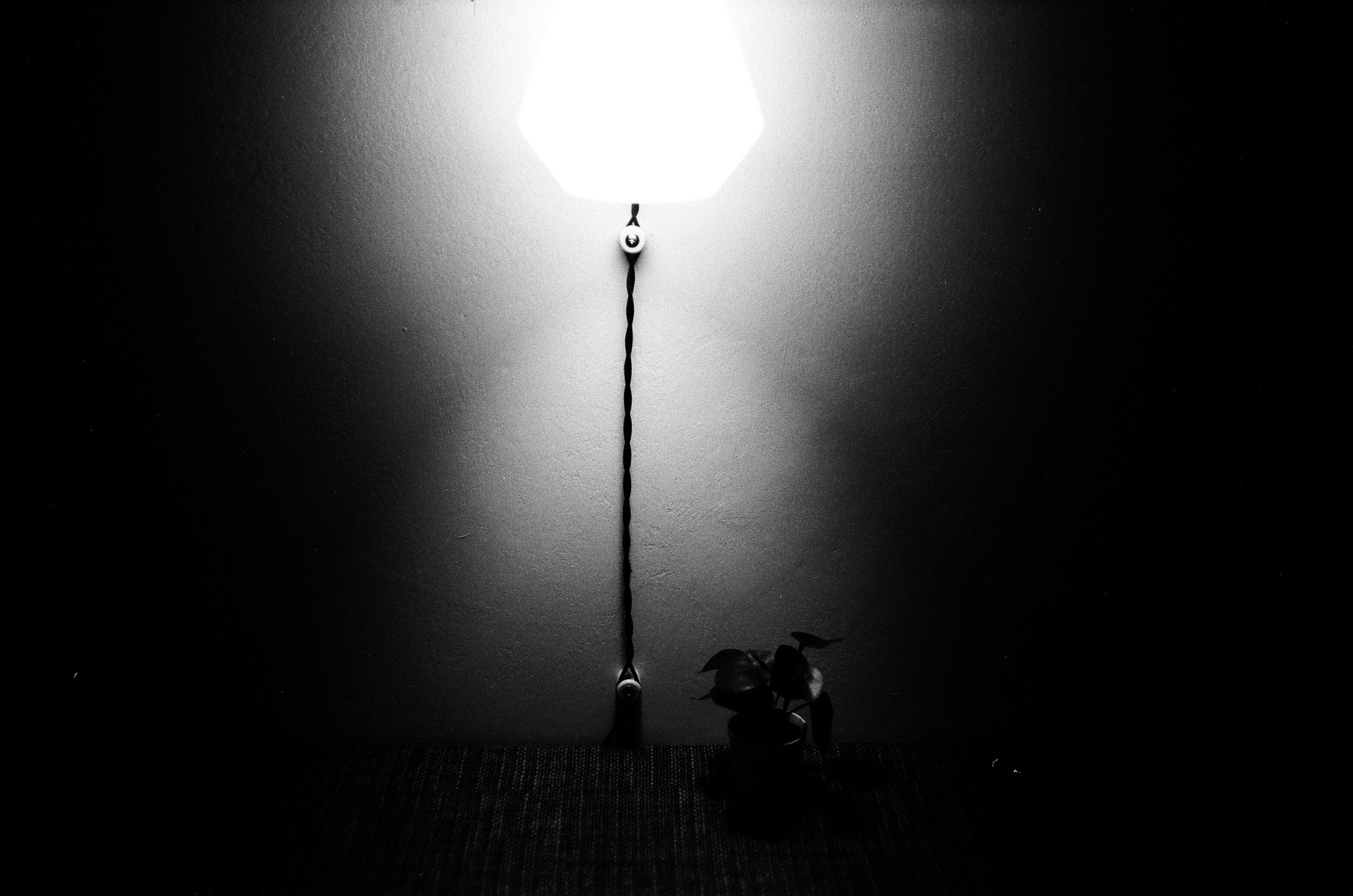 Свет. Фотограф — Маслеников Константин