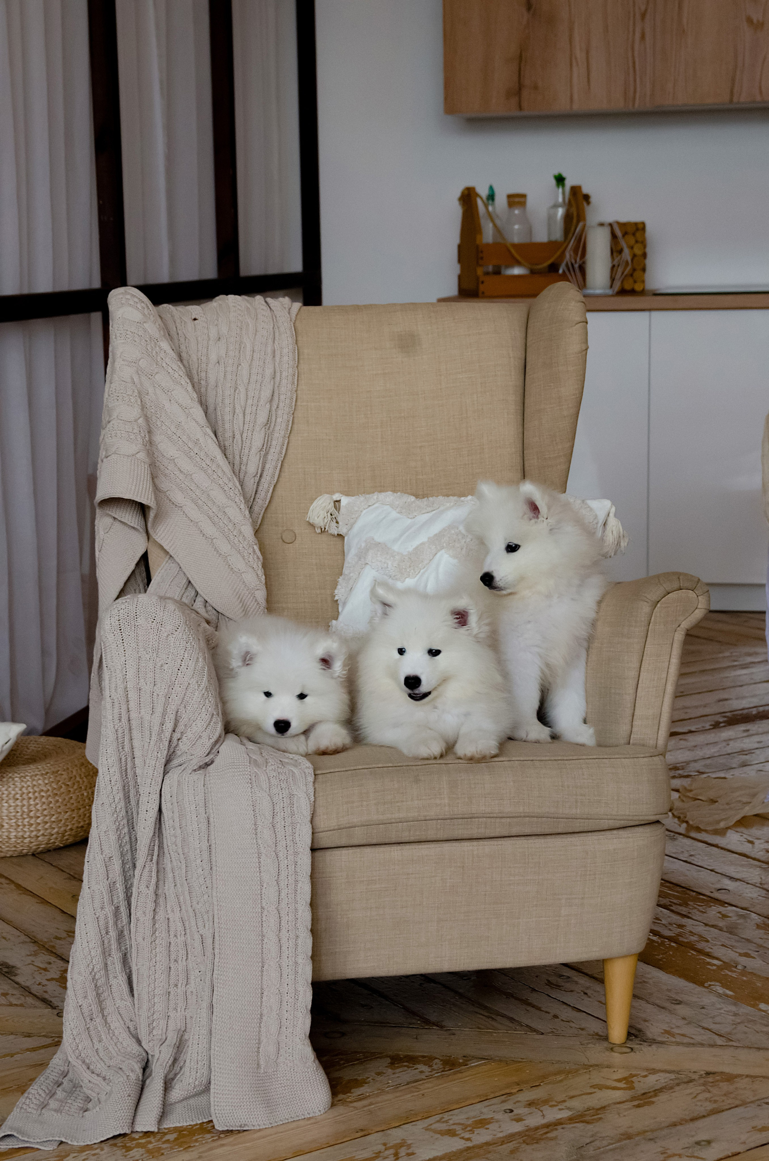 Семейные фотосессии. Фотограф в Хабаровске