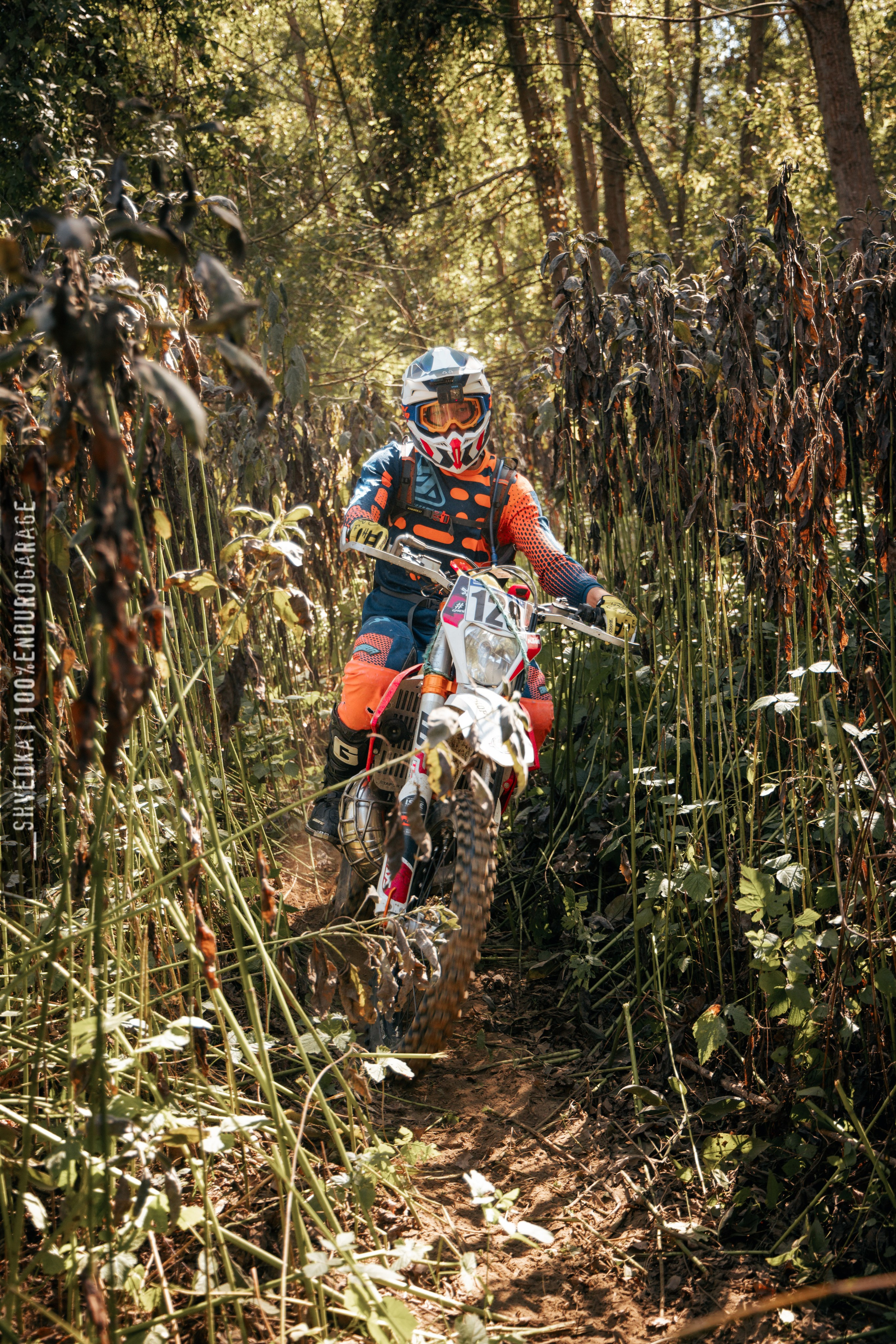 1 лесной день. Ваш экстрим фотограф Кудрева Яна