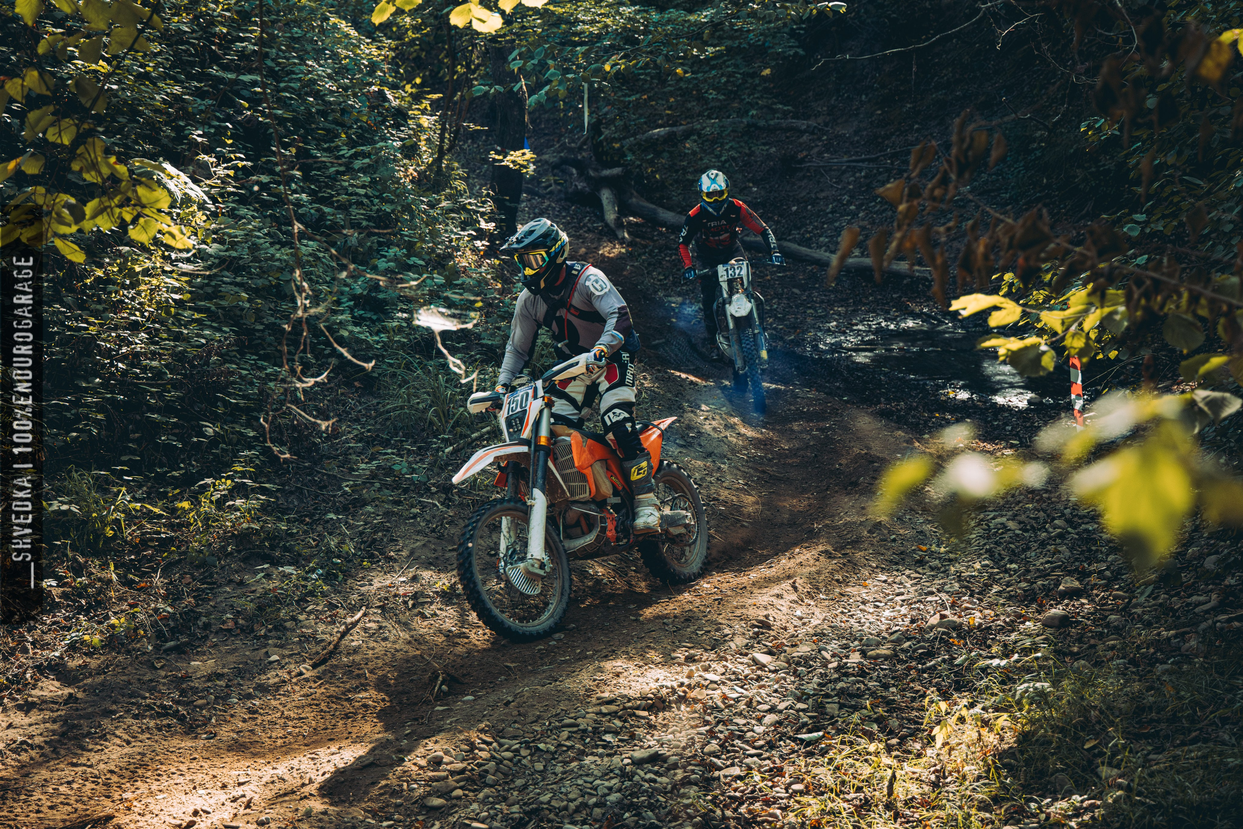 2 лесной день. Ваш экстрим фотограф Кудрева Яна