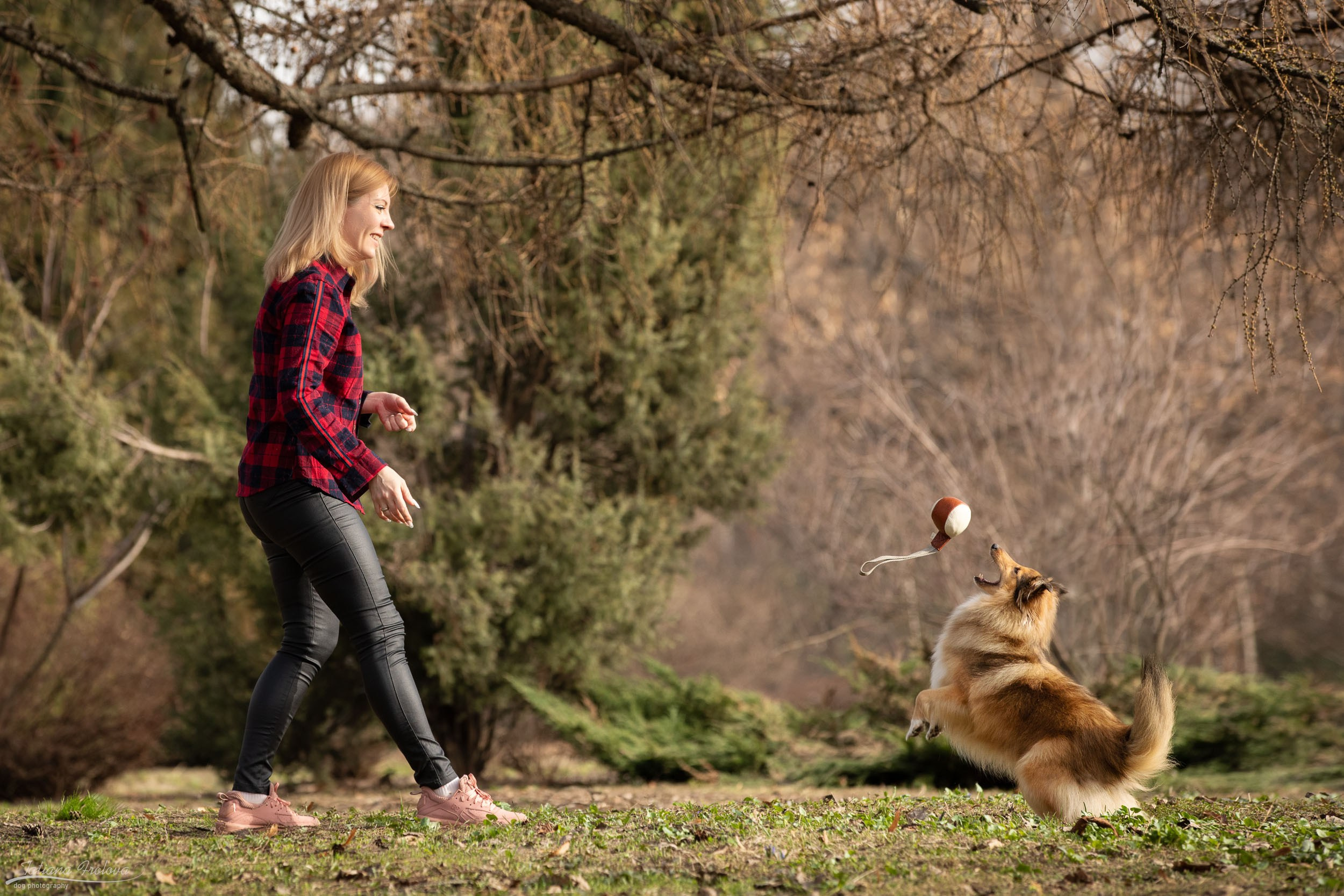 Фотопрогулка для шелти и её хозяйки в Ботаническом саду. Фотограф-анималист в Москве и Московской области Татьяна Фролова
