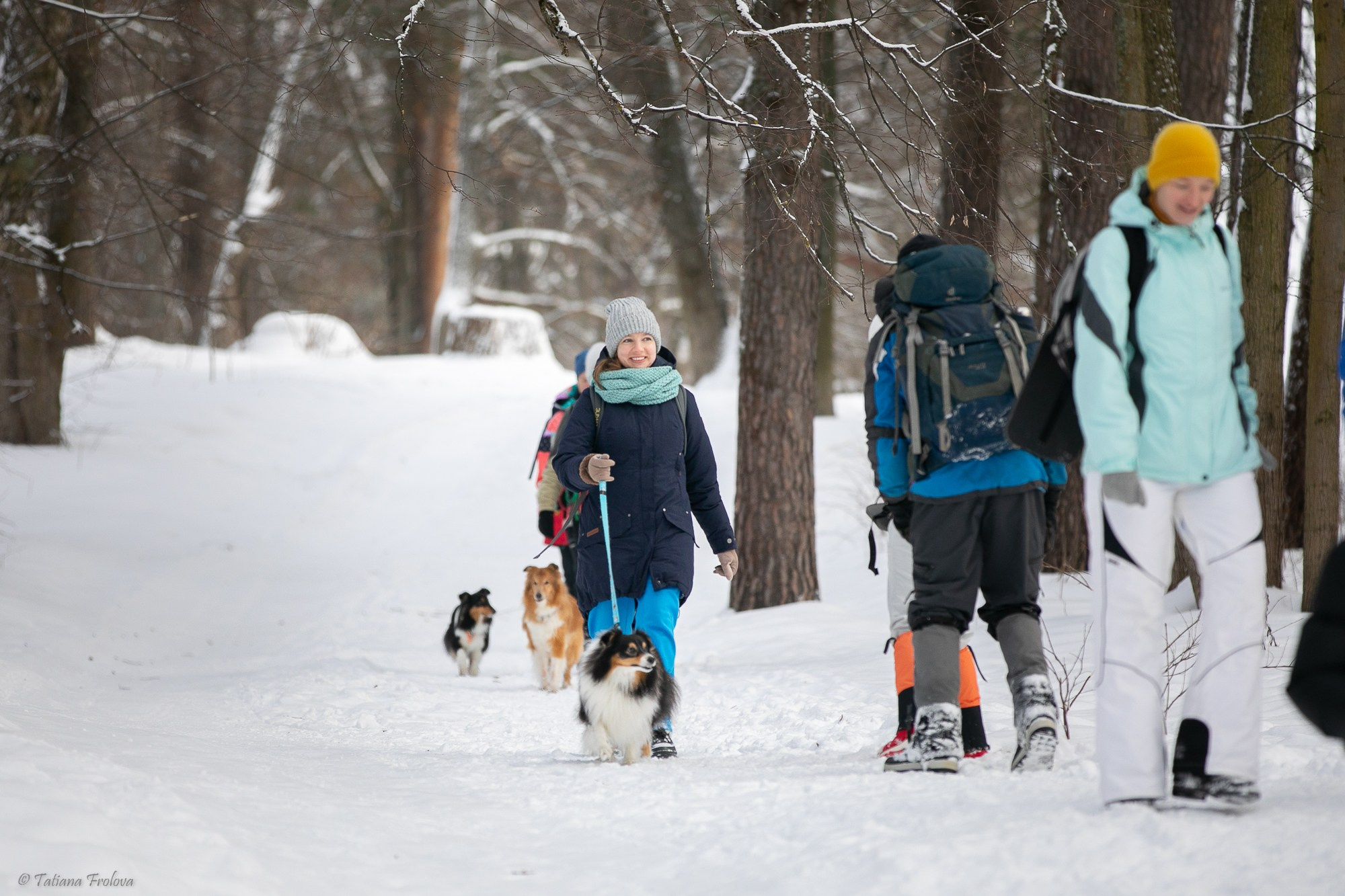 Фотосъемка похода с собаками в Московской области. Фотограф-анималист в Москве и Московской области Татьяна Фролова