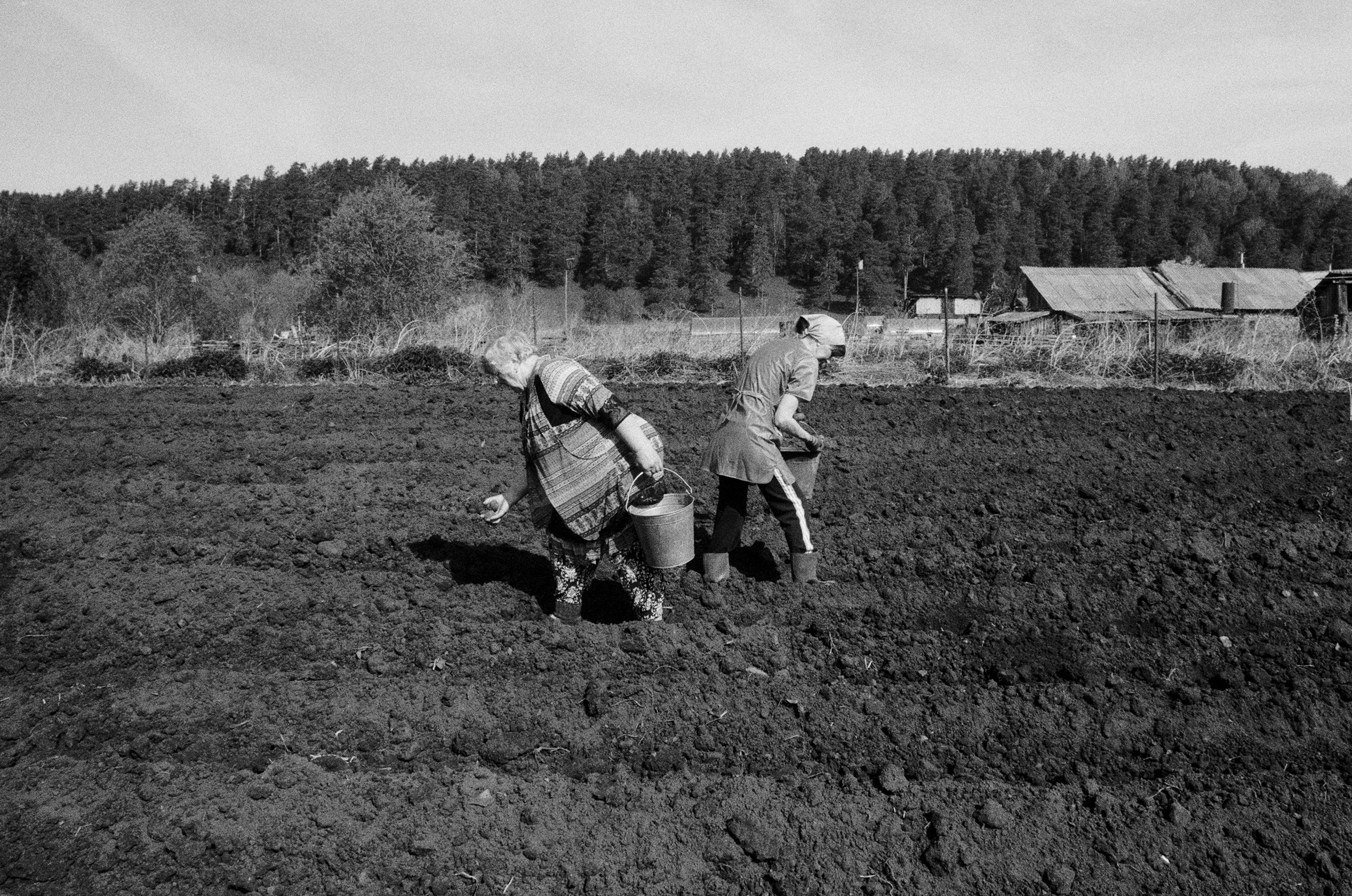 Один день из жизни социального работника. SUVDO