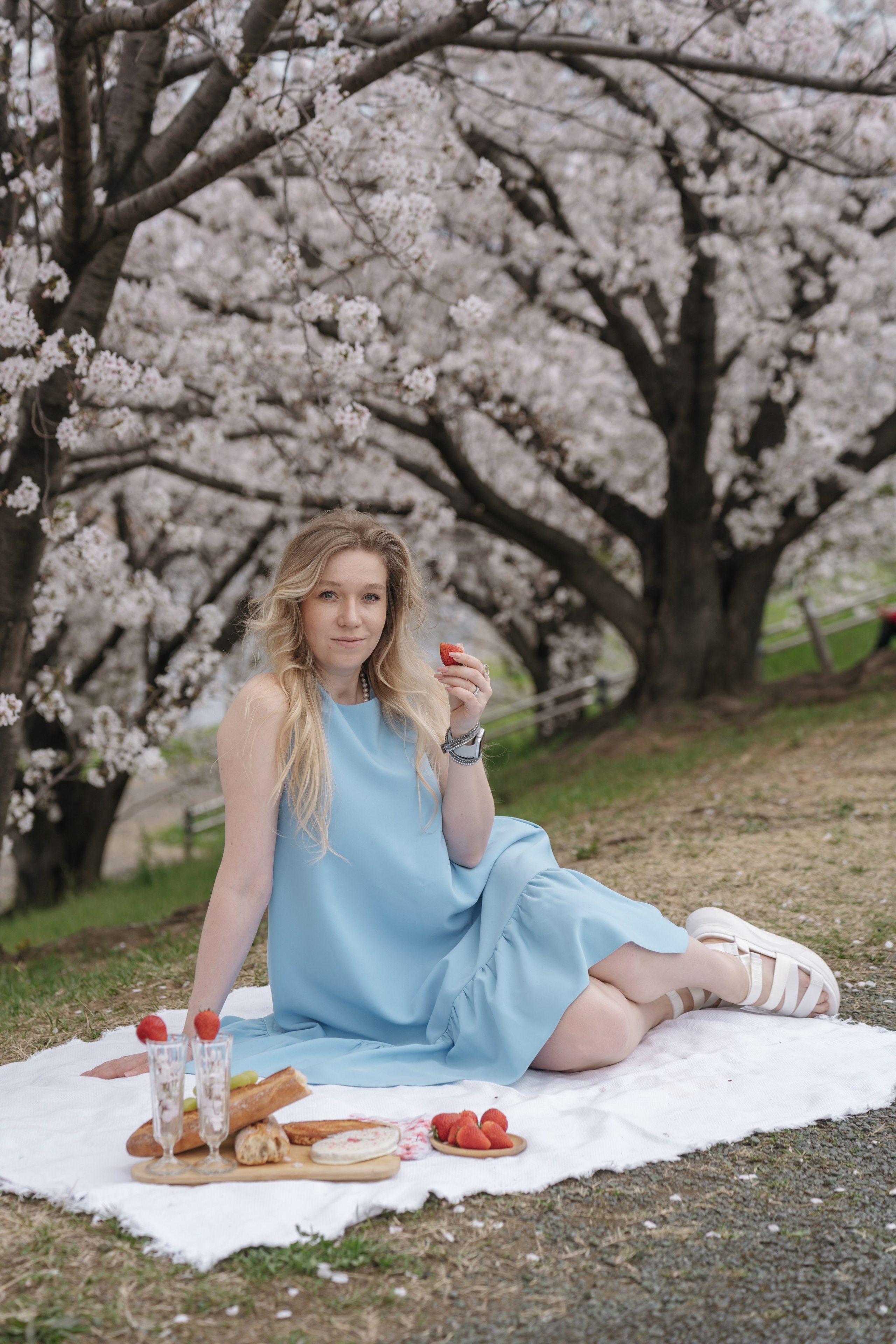 Sakura. Фотограф Алина Диева Москва | Токио