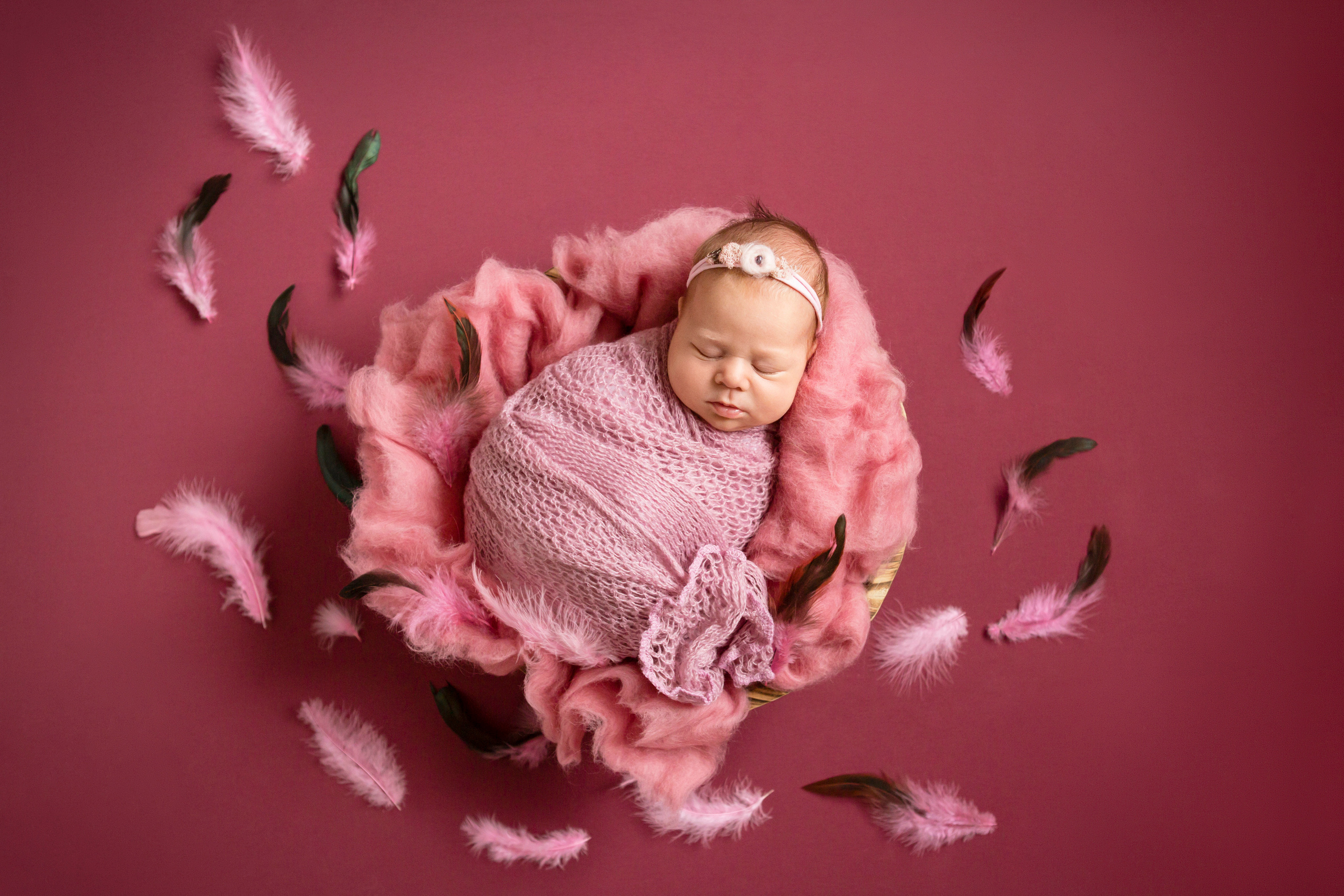 фотосессия новорожденного с розовыми перьями