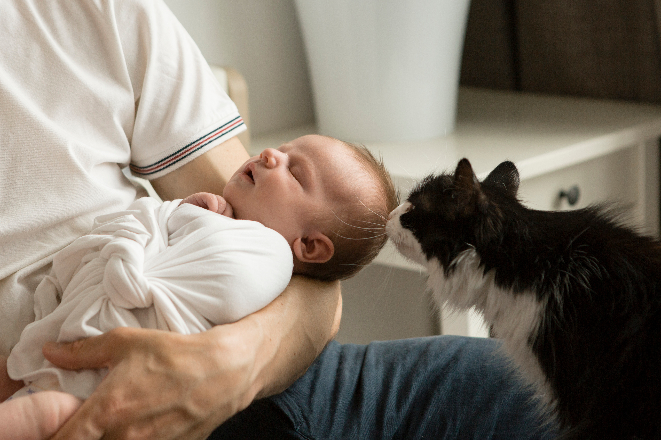 Семейная фотосессия в Екатеринбурге. Фотограф новорожденных и беременности, Екатеринбург Сметанина Наталья