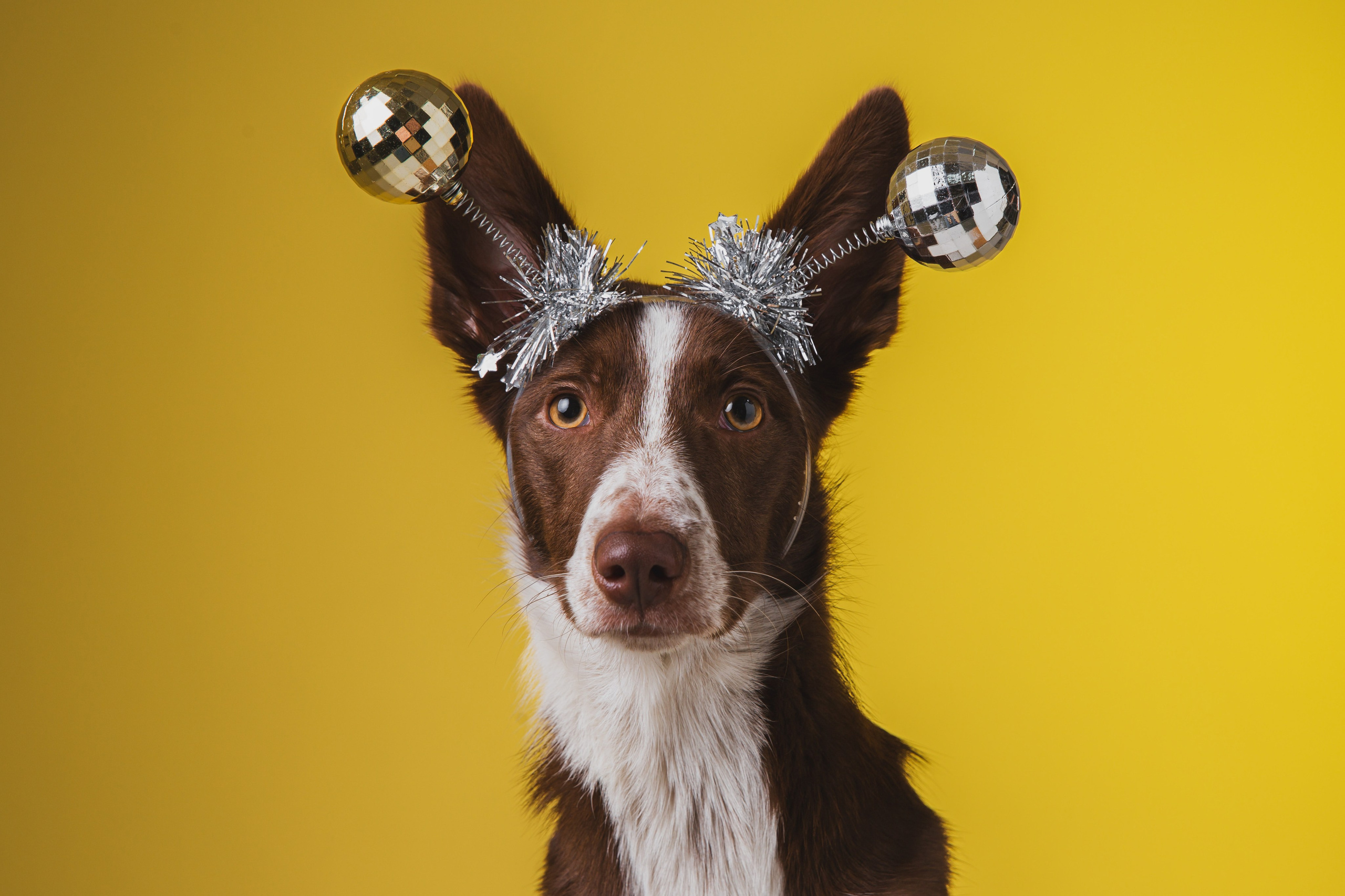 Воркшоп по импульсному свету