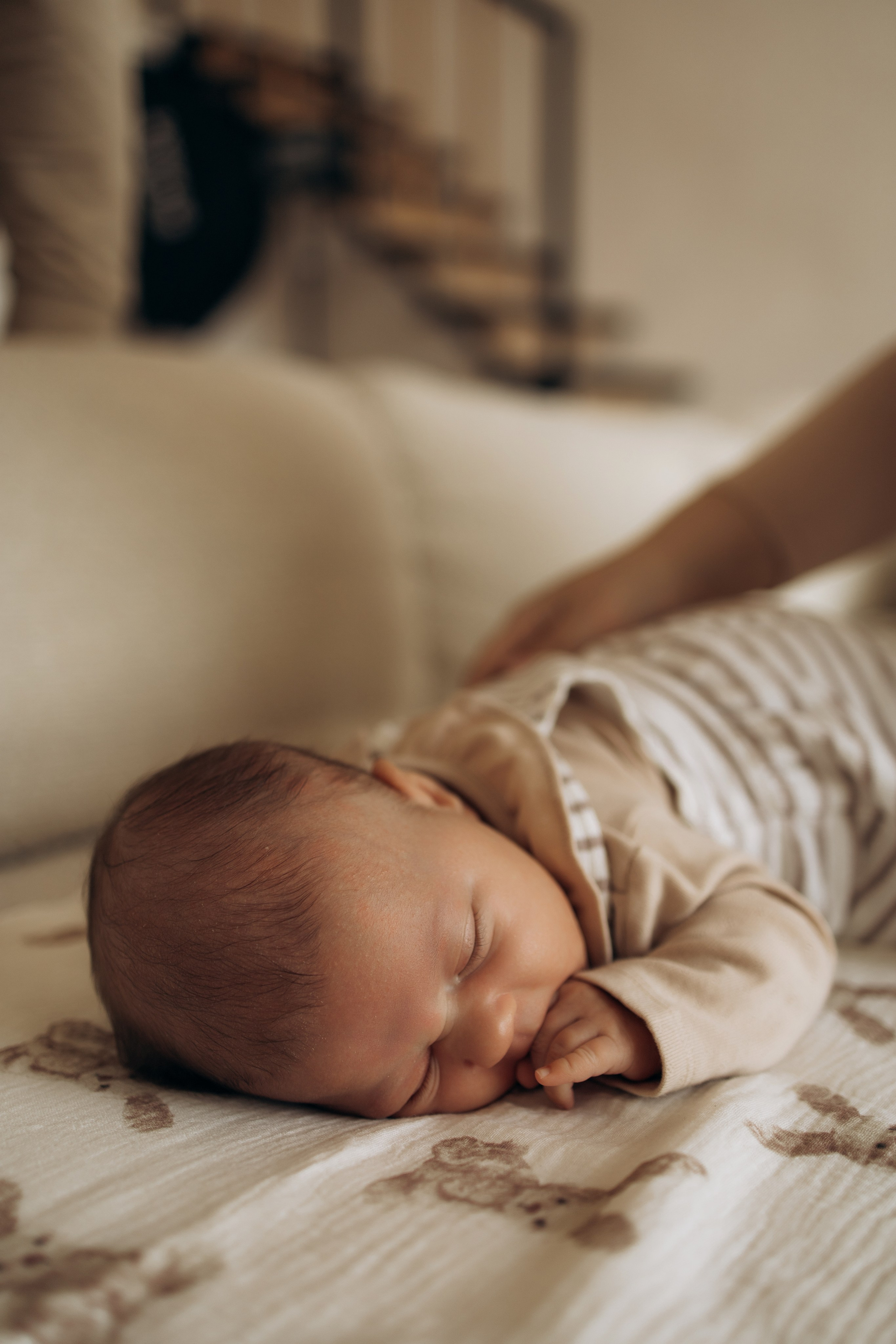 Семейная София. Самый теплый фотограф в Краснодаре Рябоконь Ксения