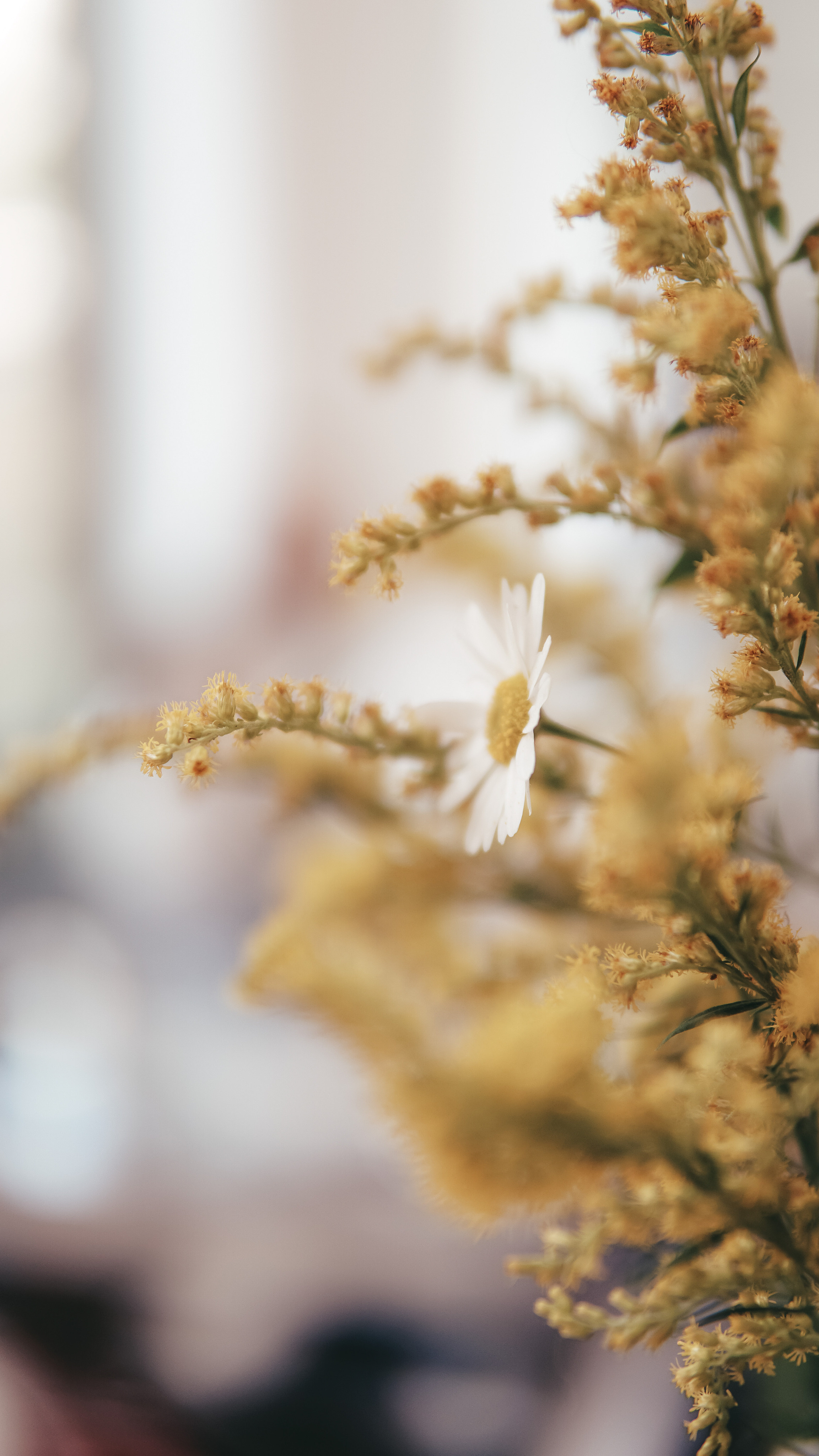 Показ мод. Фотограф в Москве Юлия Першина