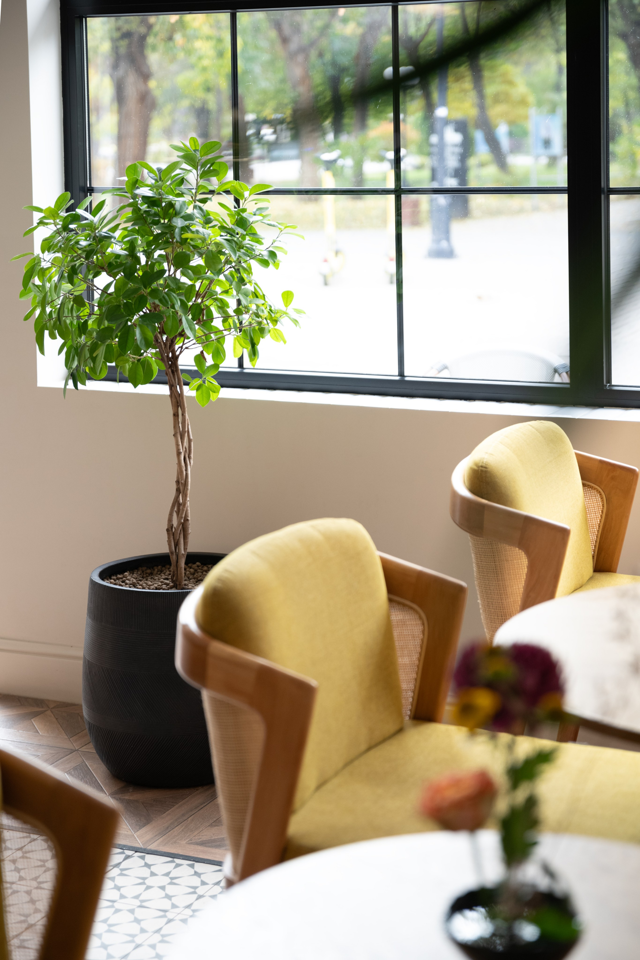 Кафе Sara Астрахань. Интерьерный, портретный и семейный фотограф в Москве Мария Иринархова