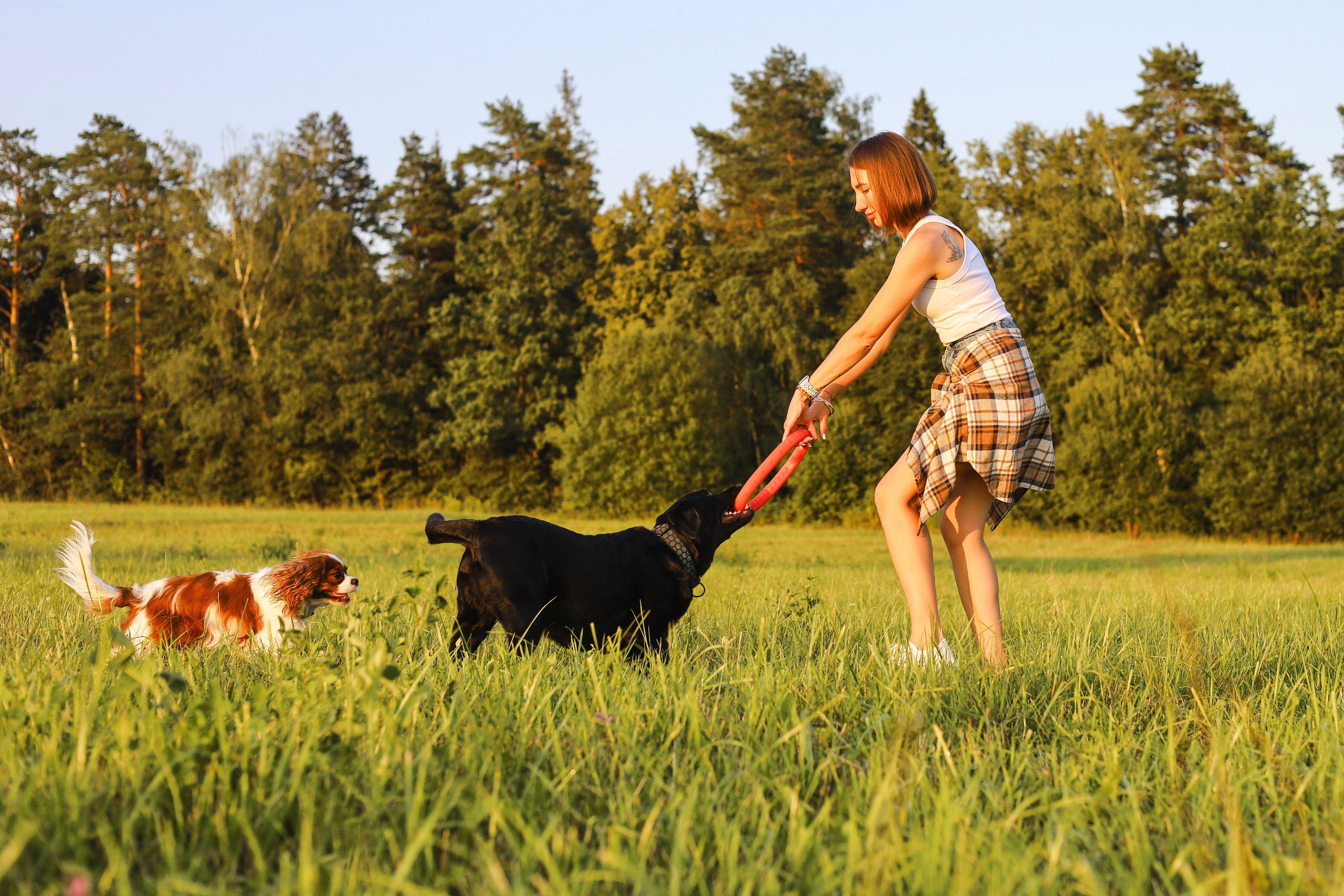 Бонни, Лея и Лера. Фотограф-анималист Ксения Шевцова|Москва