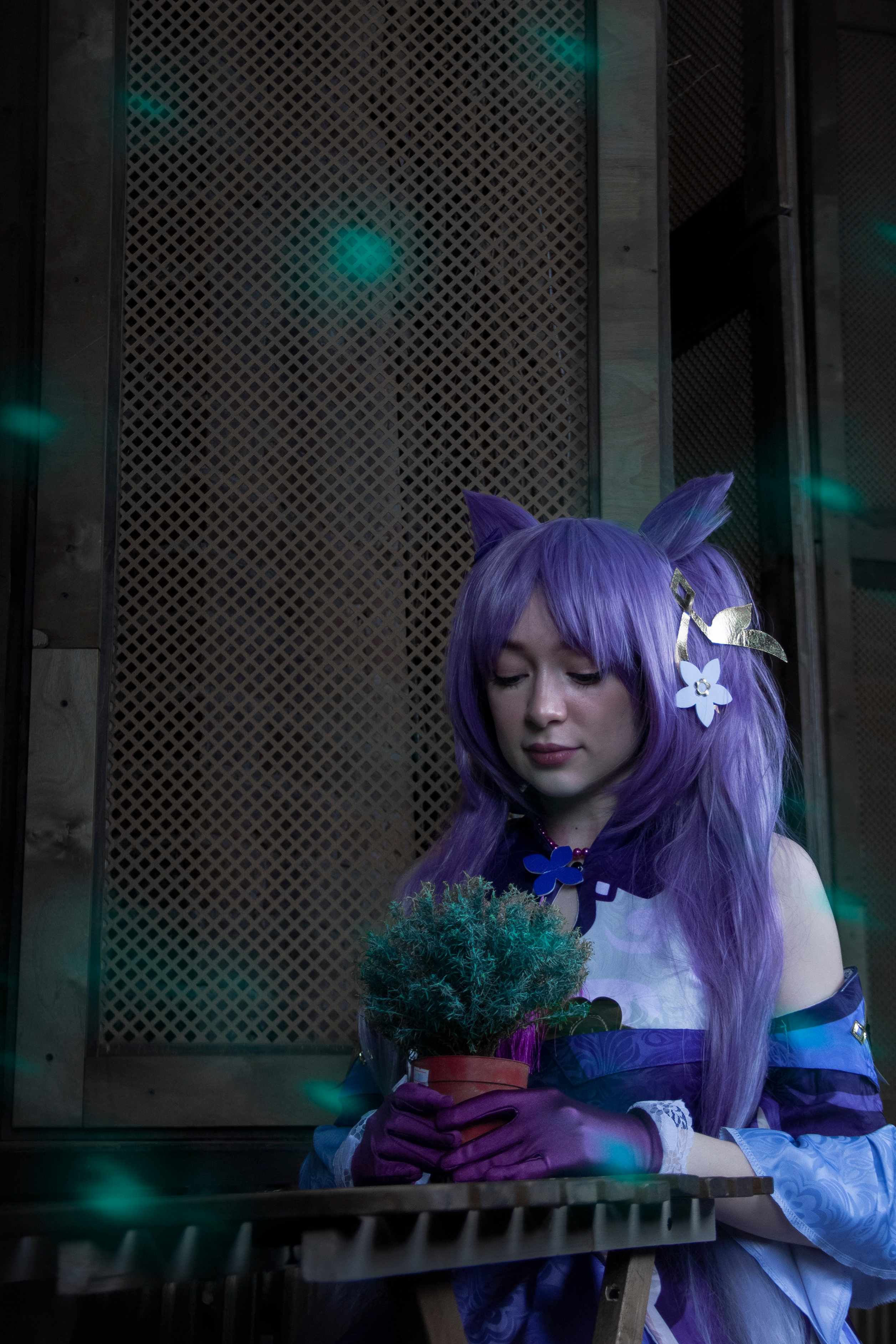 Жанна. Косплей Ке Цин. Портретный Фотограф Александр «Konevtsoph» В Санкт-Петербурге