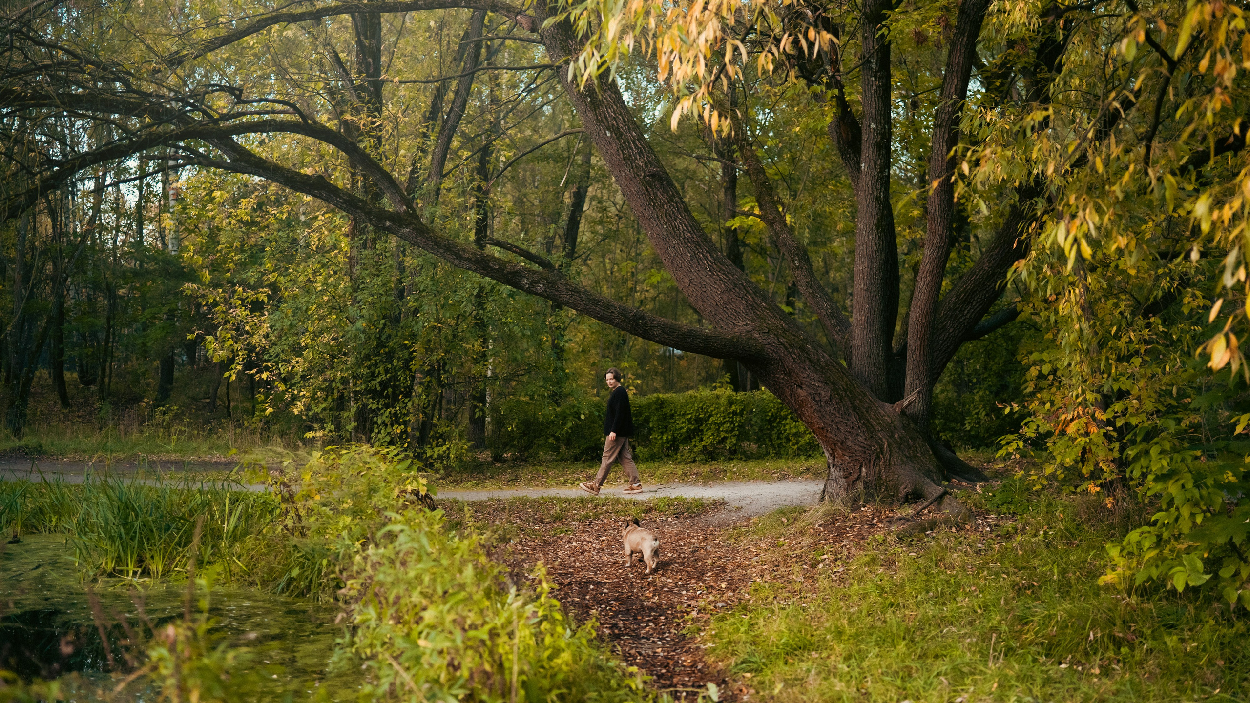 Анастасия и Бенц. Фотограф анималист в Москве и Санкт-Петербурге Свиридова Анна