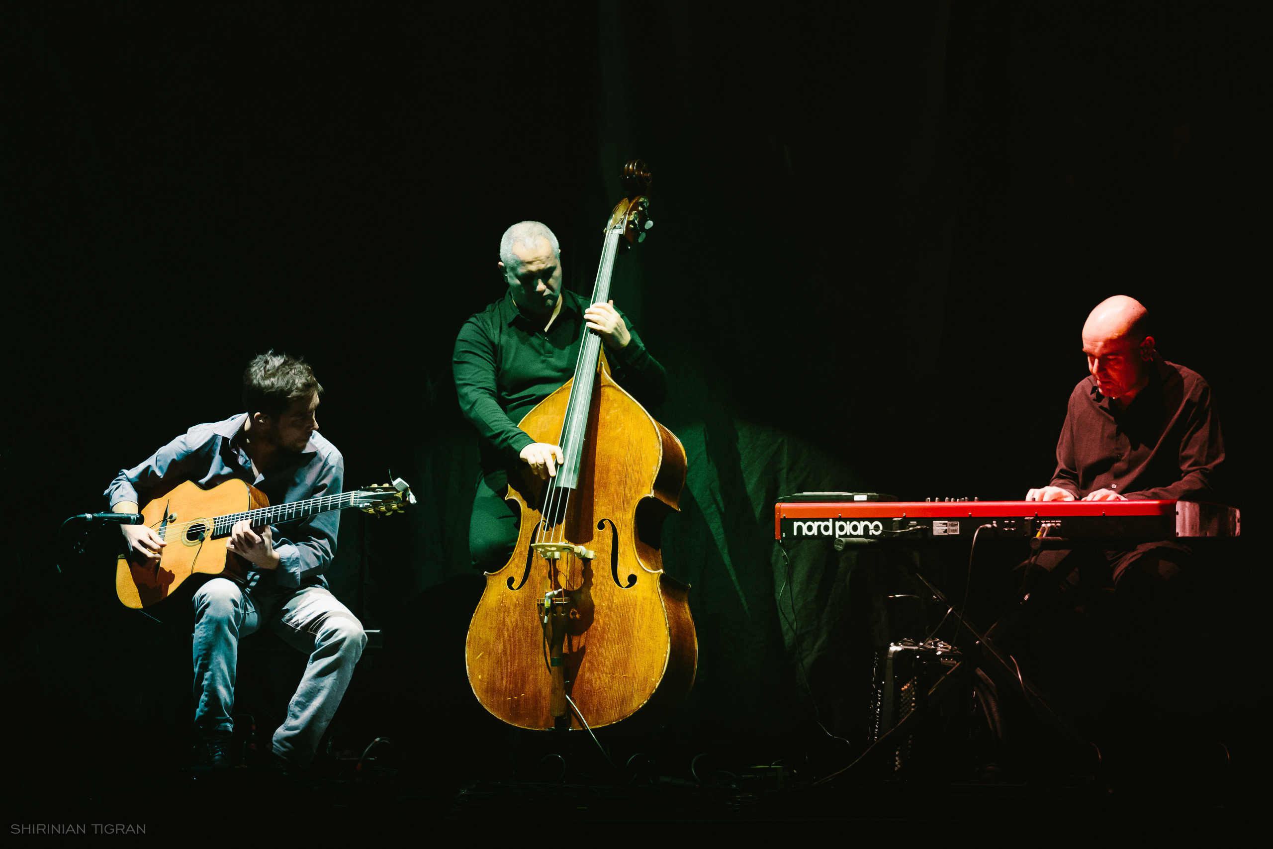 Concerts. TVSPhoto — Visual content production