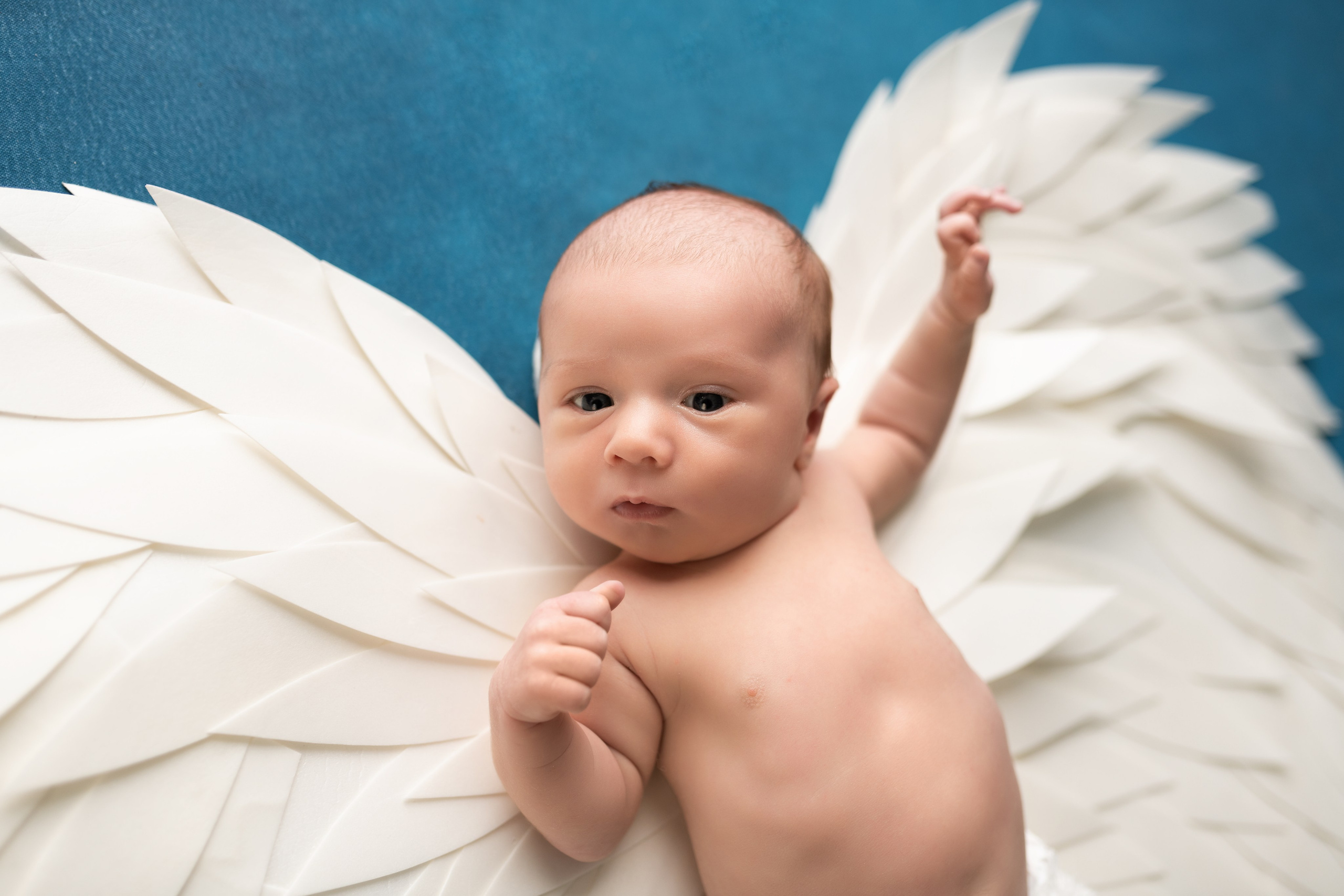 PH @babynewborn.photo. Retoucher Aleksmokh