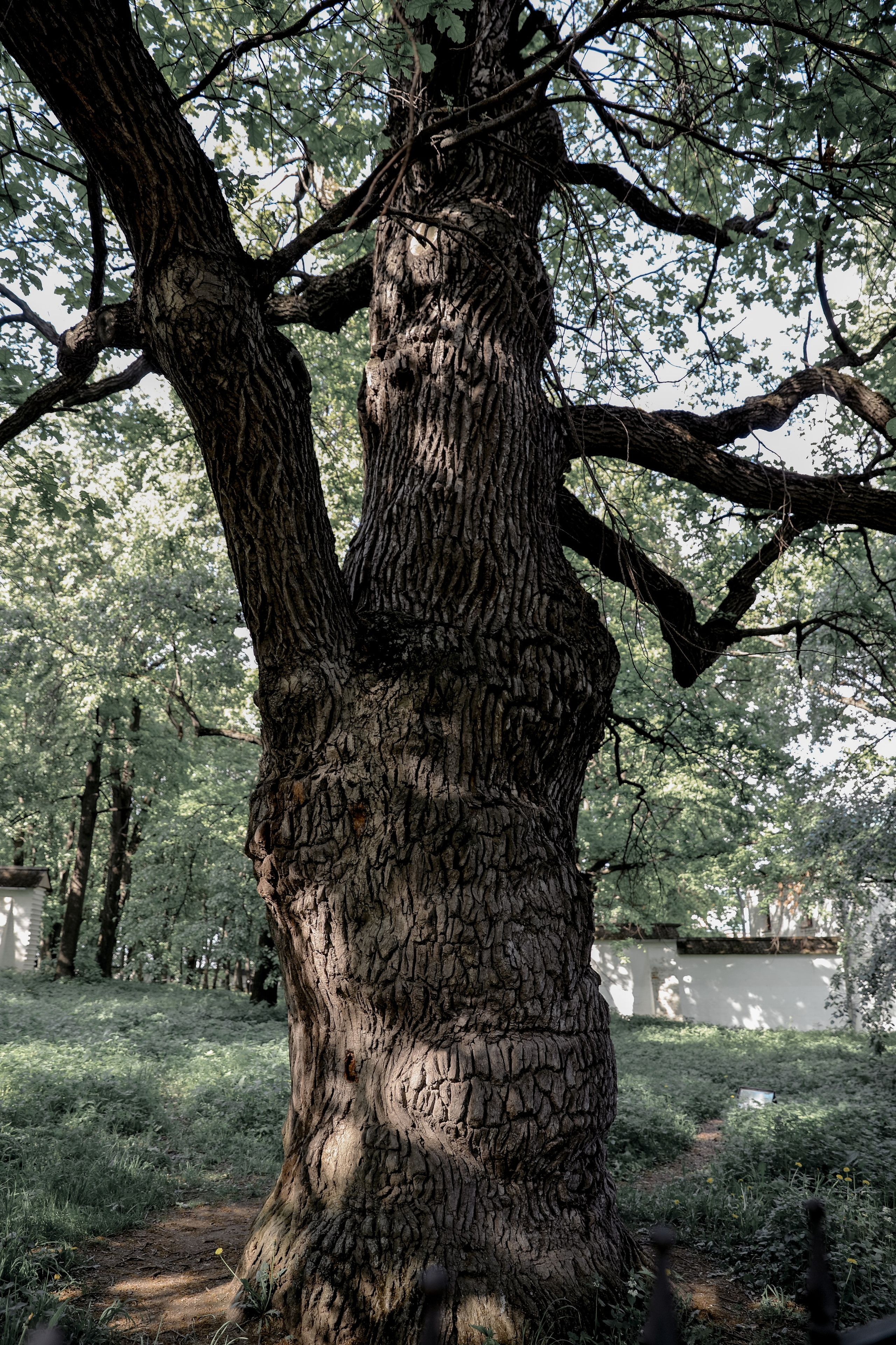 Фотосессия в парке. Индивидуальный и семейный фотограф Ирина Москвичёва