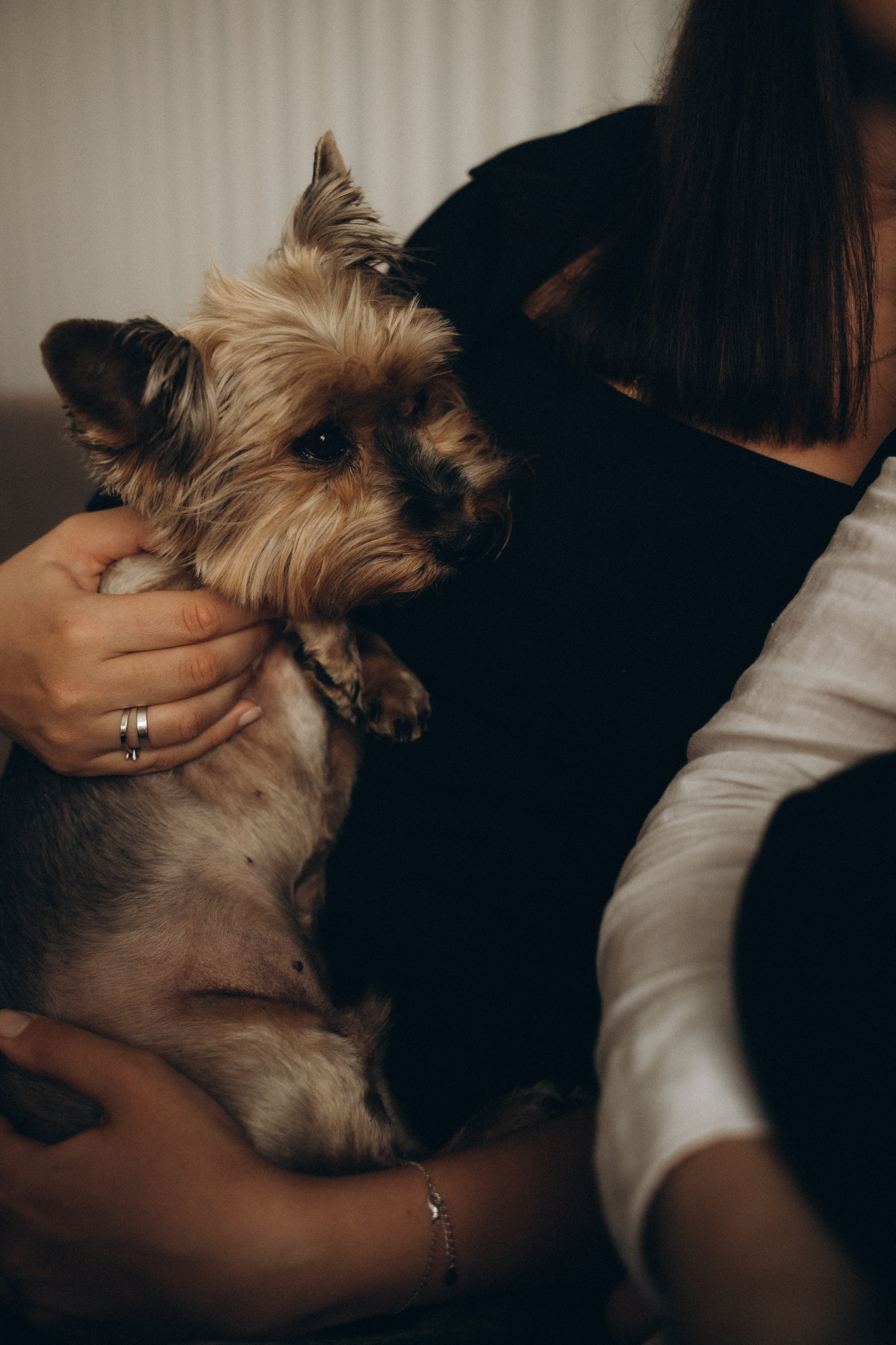 Кирилл, Лена и Матвей. Семейный и свадебный фотограф Анна Кожокарь