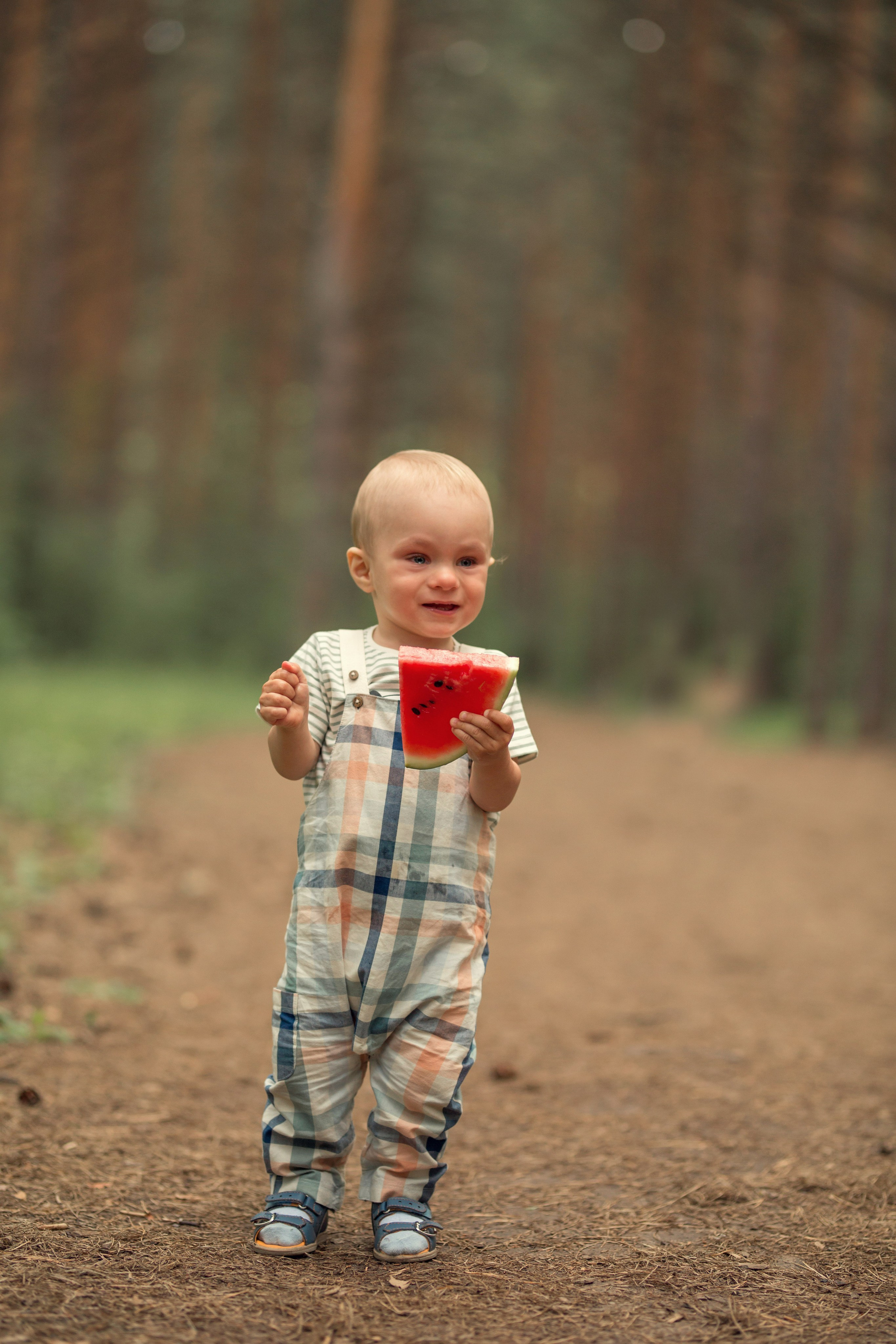 Сосны. Сайт