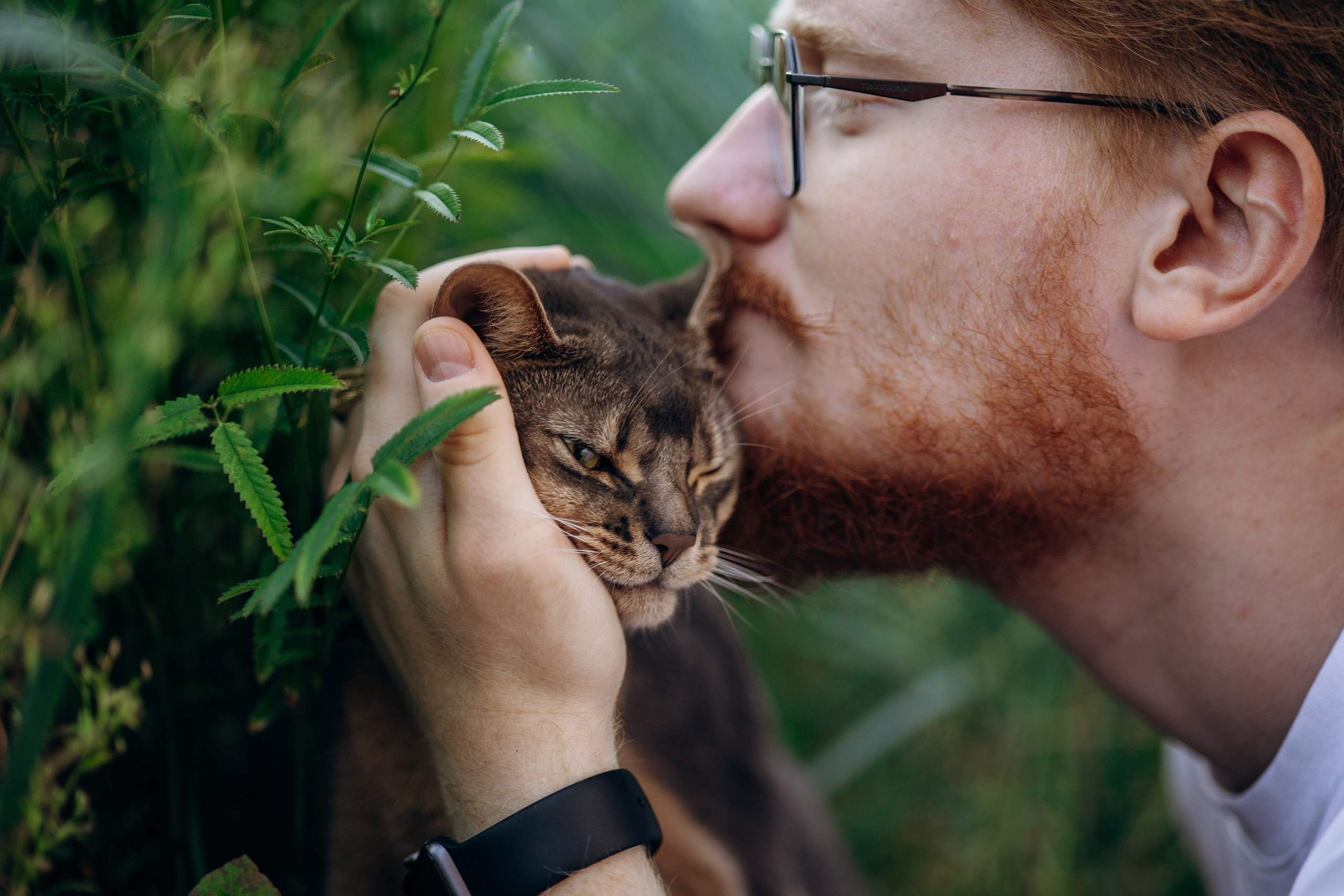 Циско и его семья. Фотограф — Анималист | Санкт-Петербург