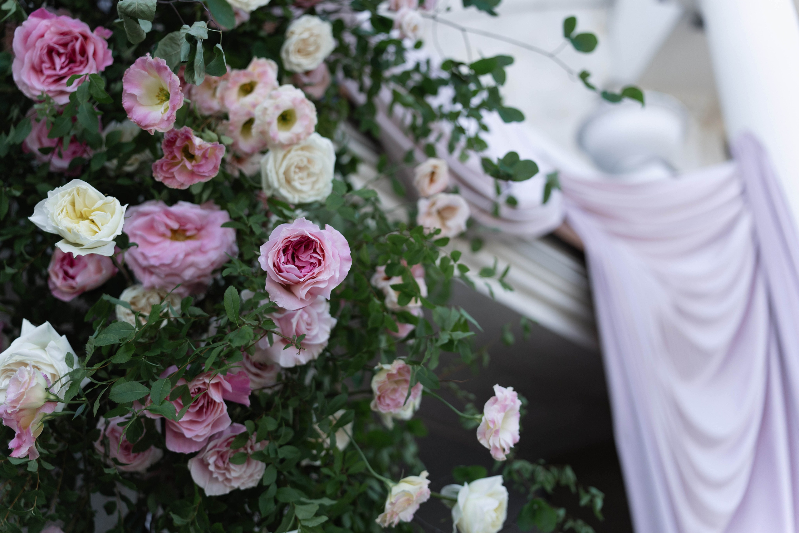 Четыре сезона. Фотограф в Санкт-Петербурге Александр Дымов