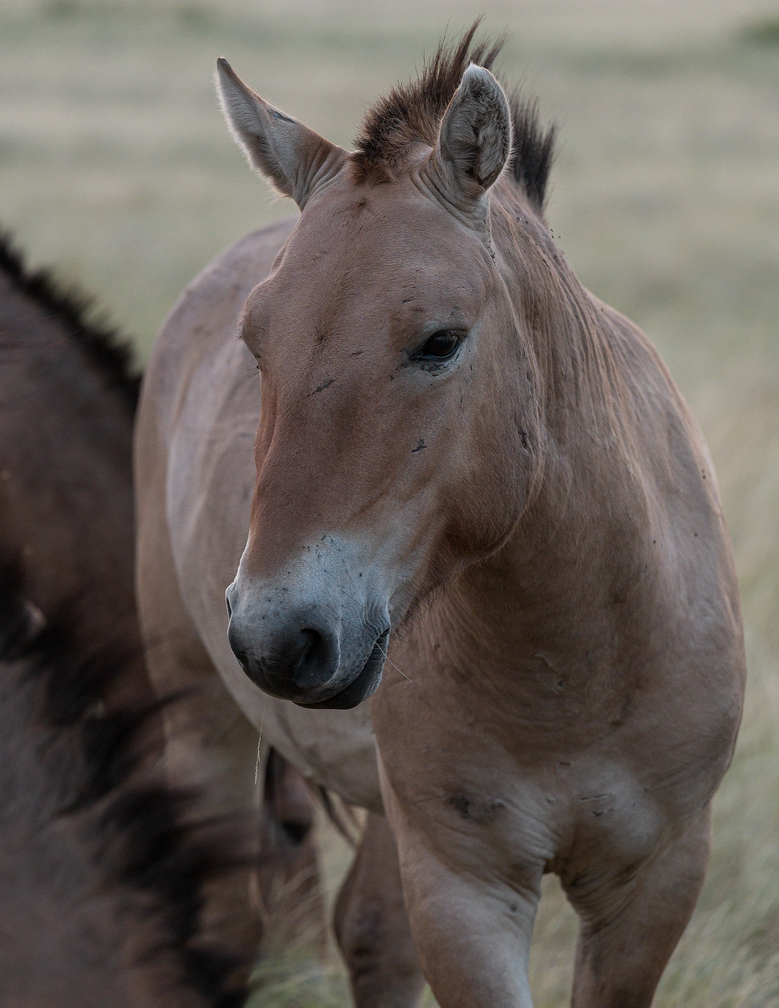 В природе. Портретный фотограф в Челябинске Катерина Руди