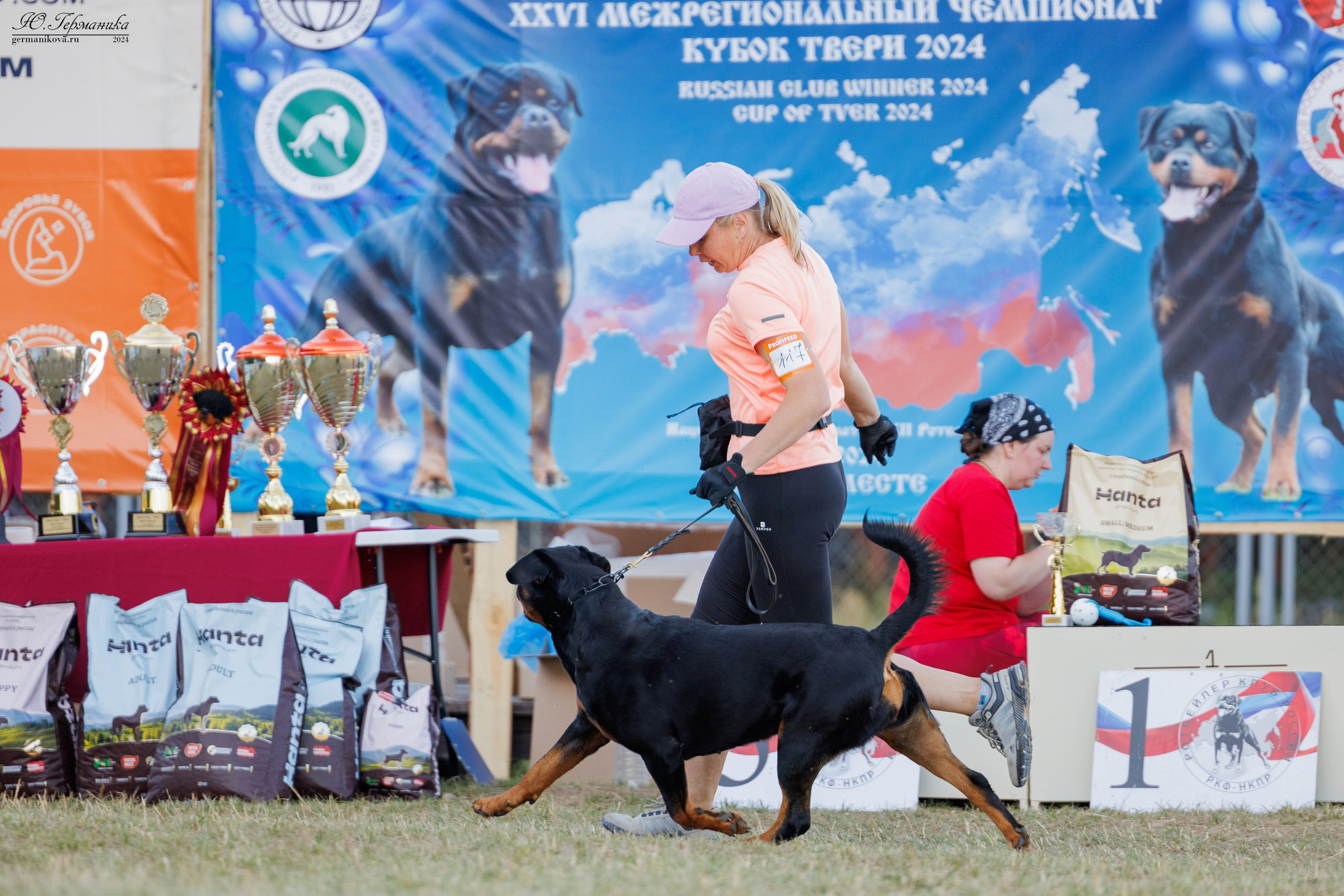 ПК и КЧК ротвейлеры Тверь 6-7.07.2024. Фотограф-анималист Юлия Германика