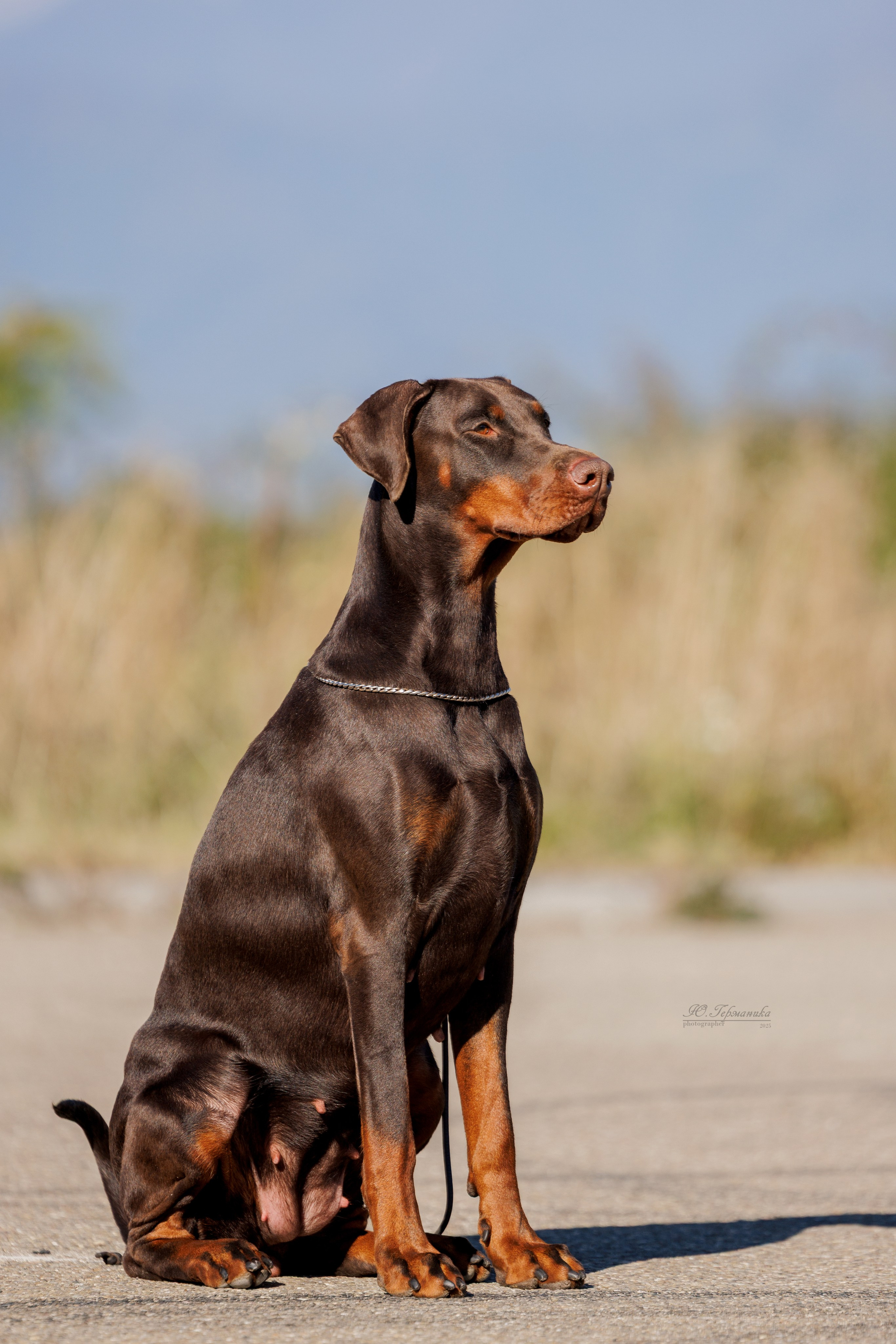 Телави 11-12.10.2025. Фотограф-анималист Юлия Германика