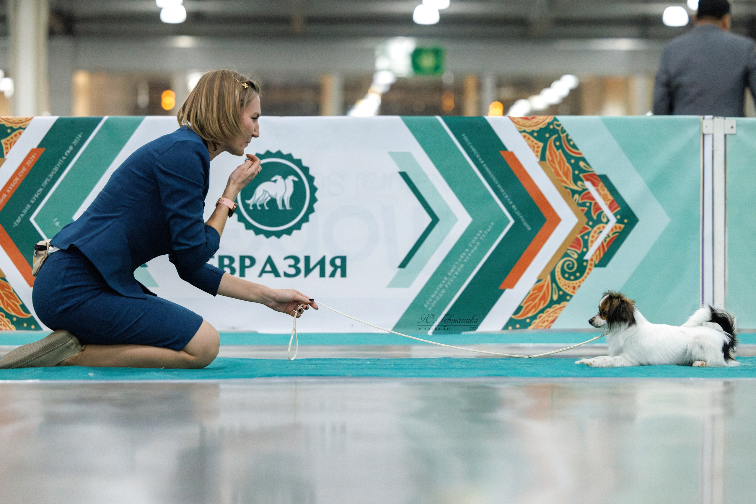 Евразия 16-17.11.2024. Фотограф-анималист Юлия Германика