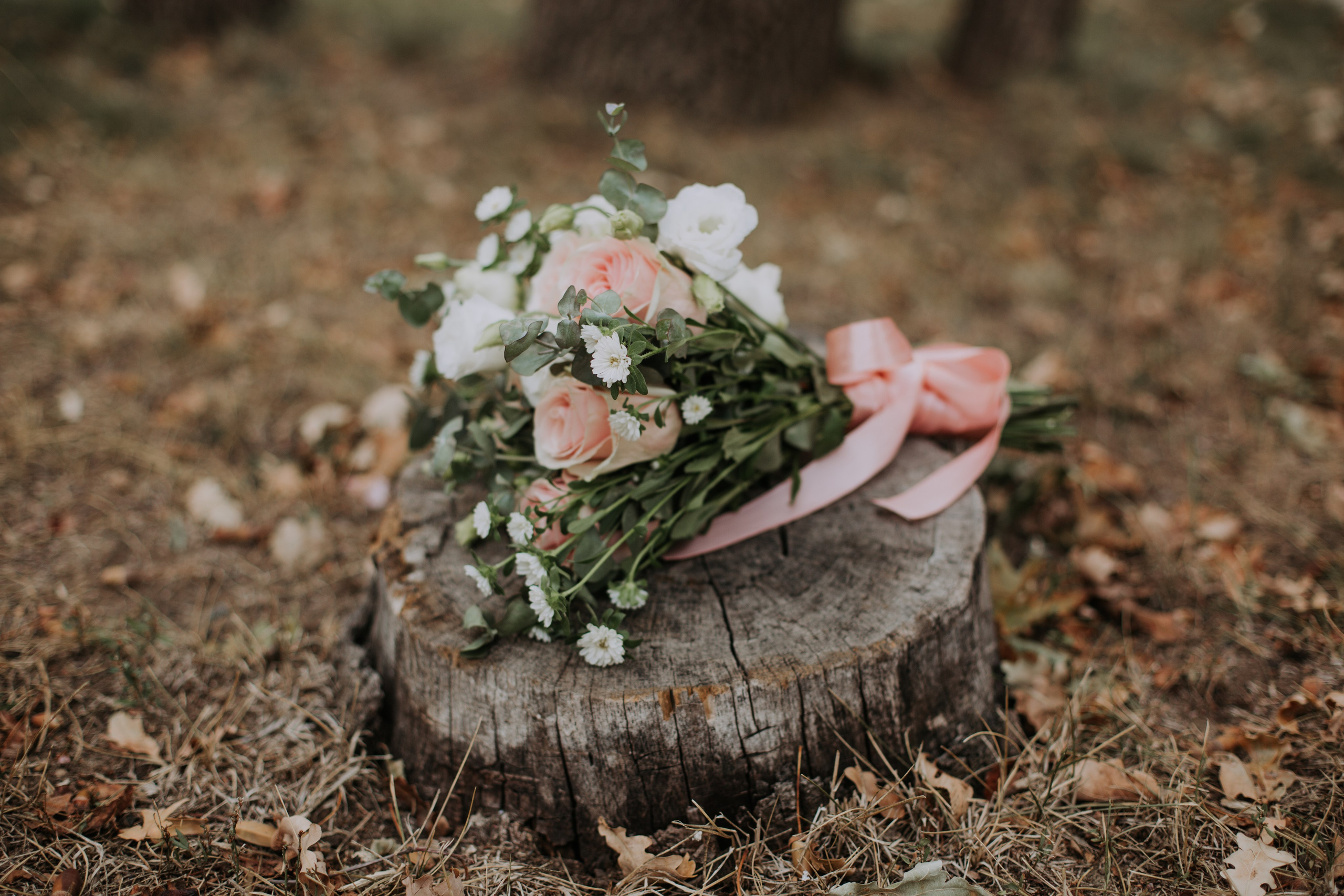 Анатолий и Маргарита. Свадебный фотограф и видеограф в Ростове-на-Дону Романенко