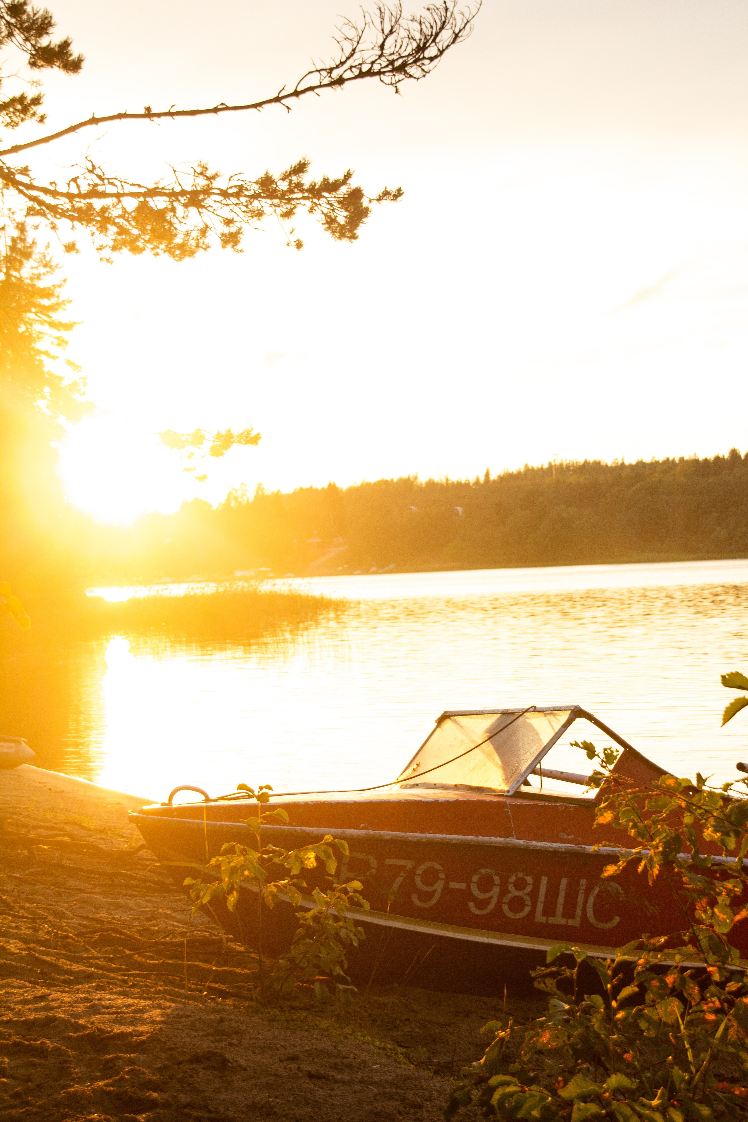 Природа. Фотограф Котий Даниил