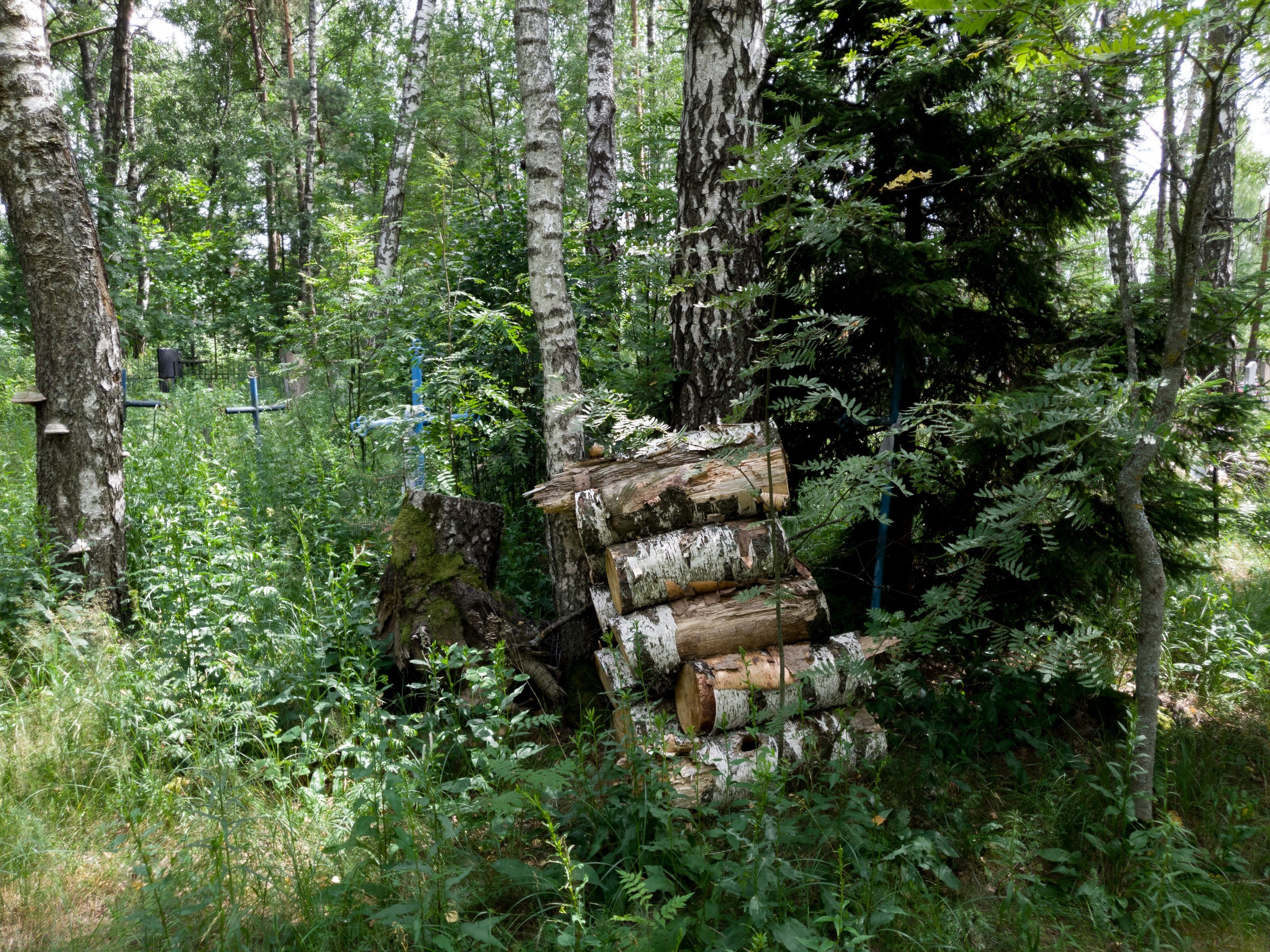 Home.land. Künstler Verstecktoff