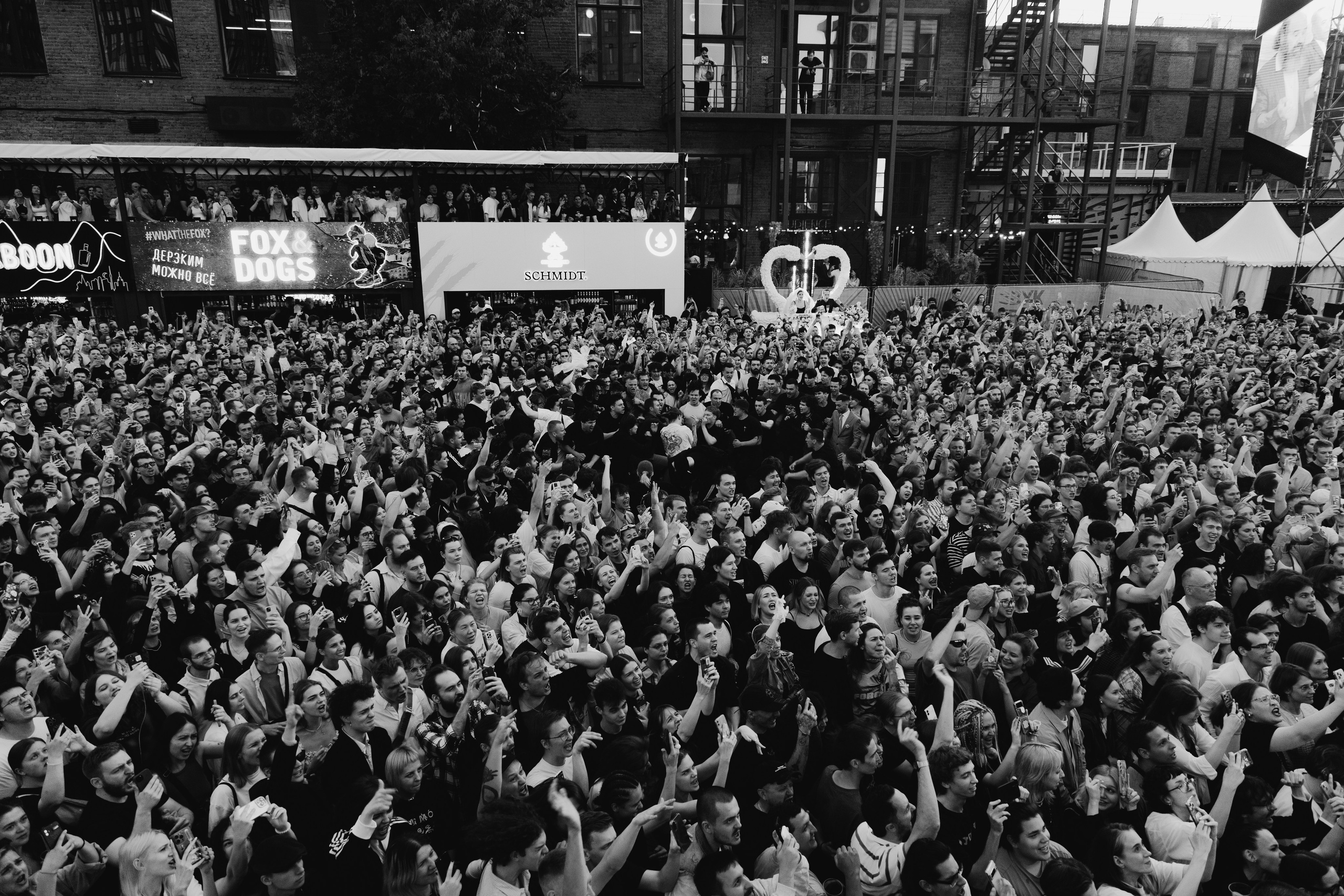 Хаски ’25 Свадьба. RUSLAN ROZANOV