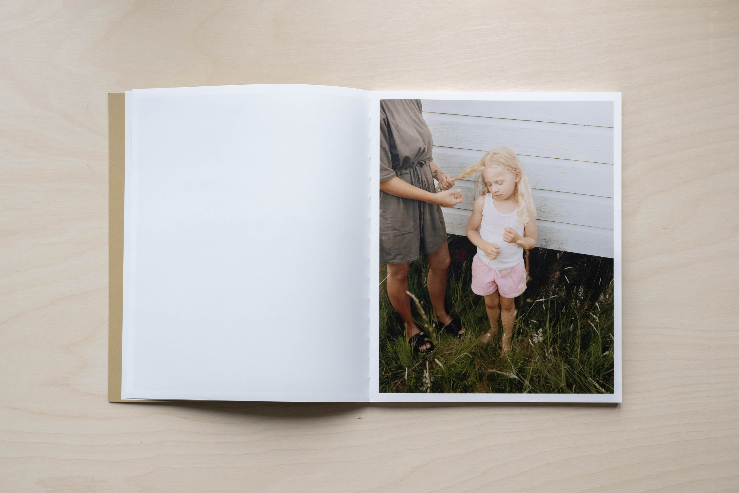 Книга Макса Меховски (Max Miechowski) «Land Loss». Private image