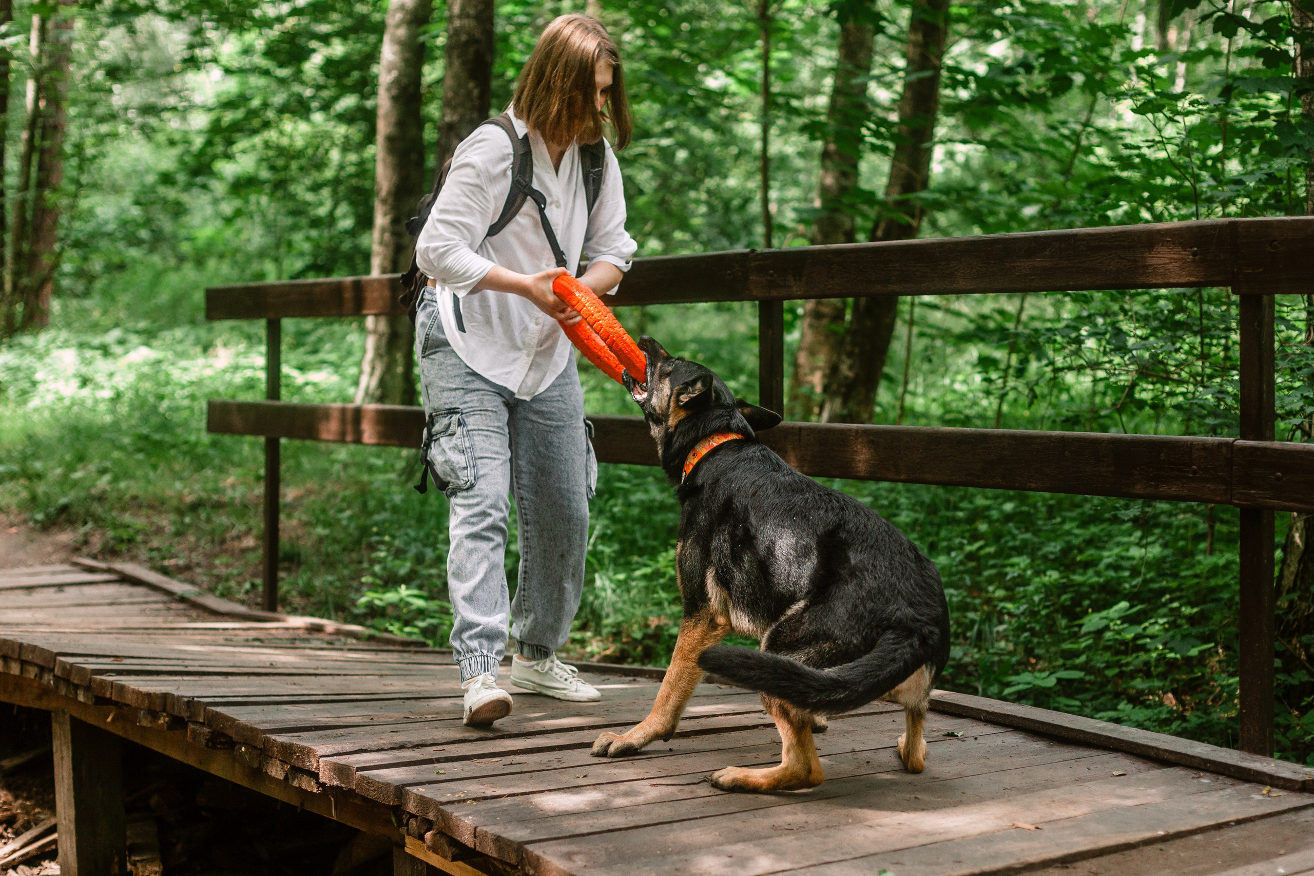 Лесная летняя фотопрогулка. Фотограф-анималист Татьяна Степанова