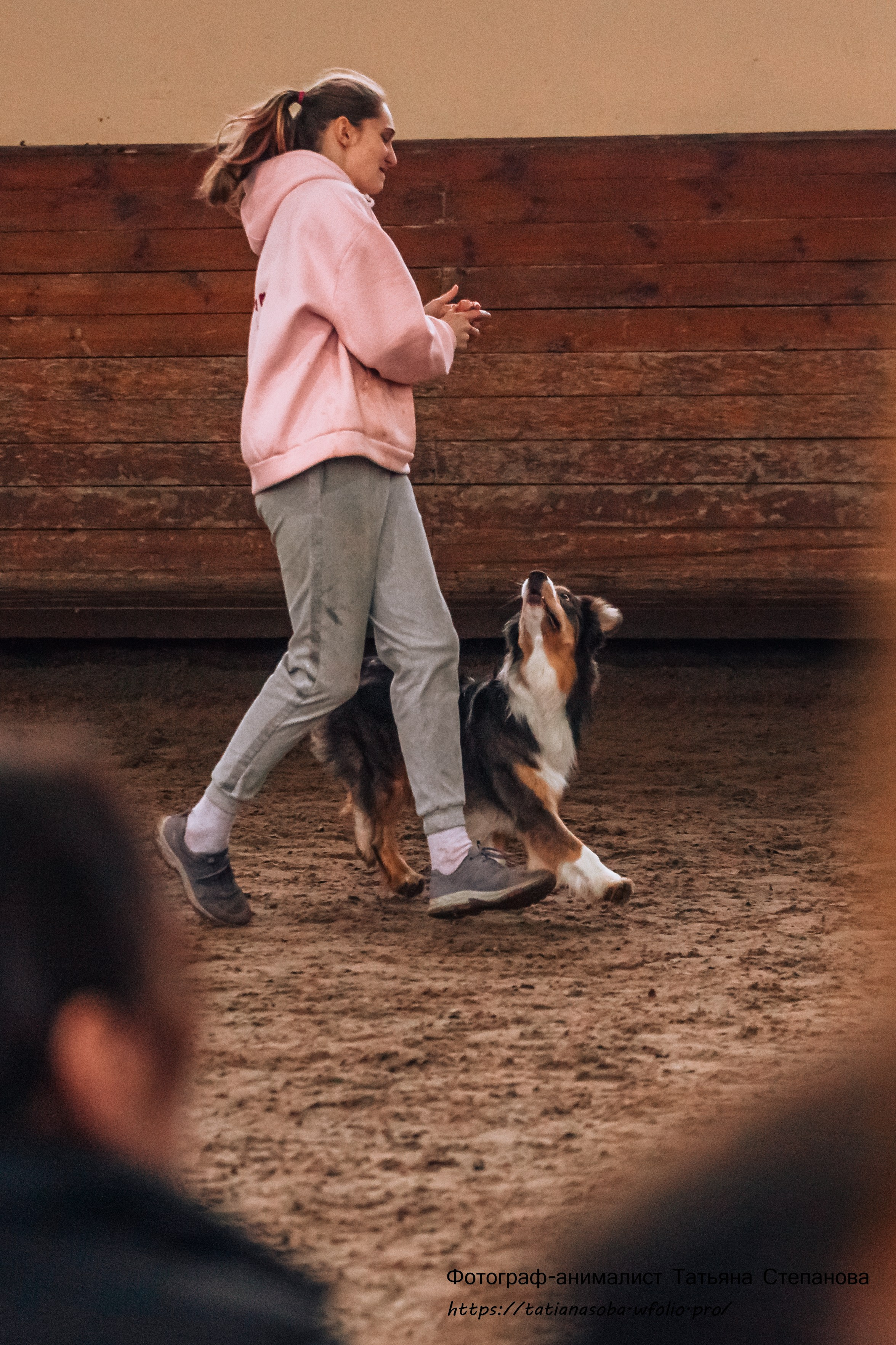 Соревнования по Аджилити 25.02.2024. Фотограф-анималист Татьяна Степанова
