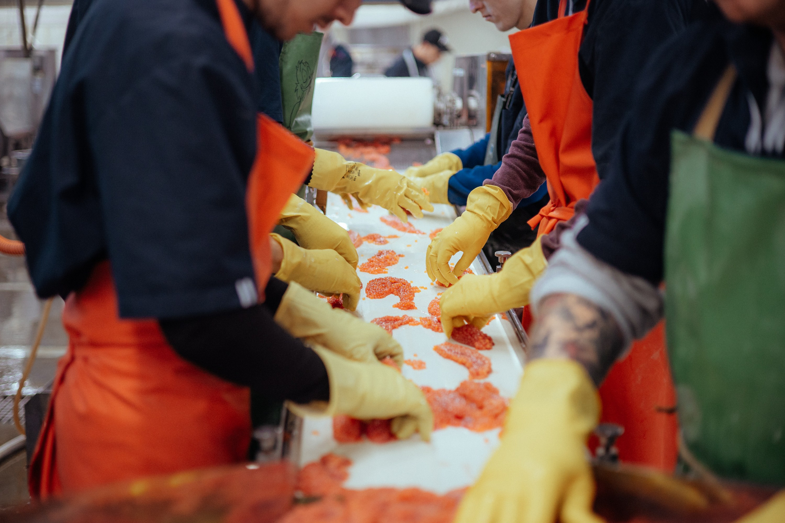 Ооо «лойд-фиш» | камчатка-2025