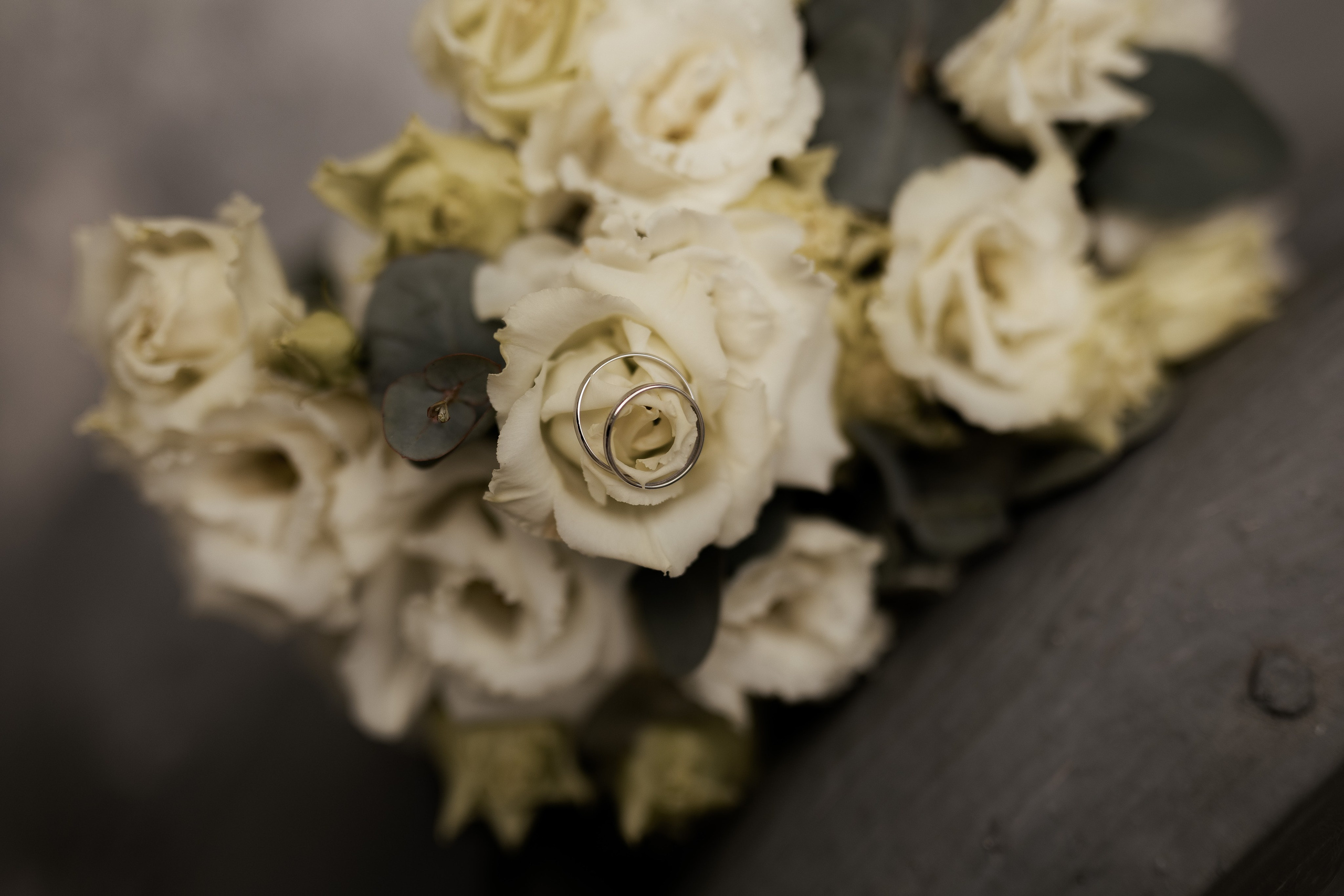 Ксюша и Миша. Фотограф Елизавета Князева Сергиев Посад, Москва