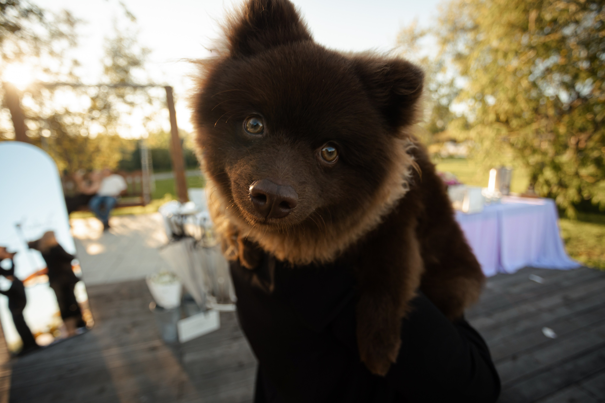 Влад и Катя. Фотограф Вячеслав Фарунин