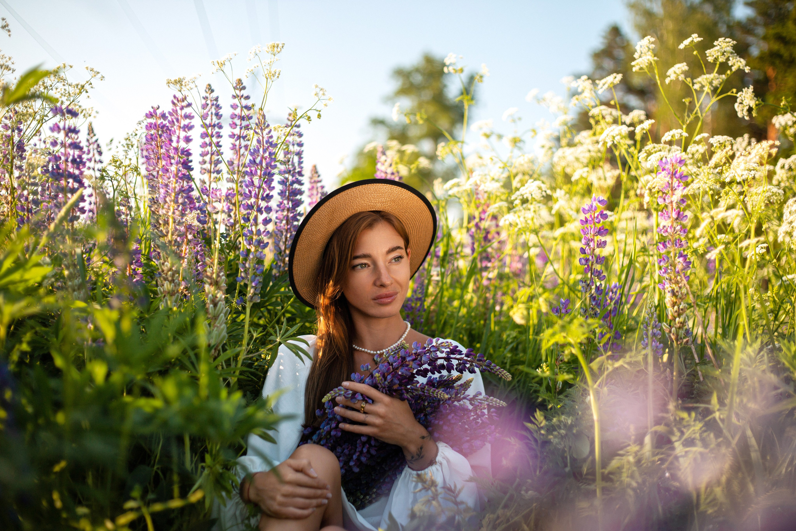 Люпины. Фотограф Москва / Балашиха