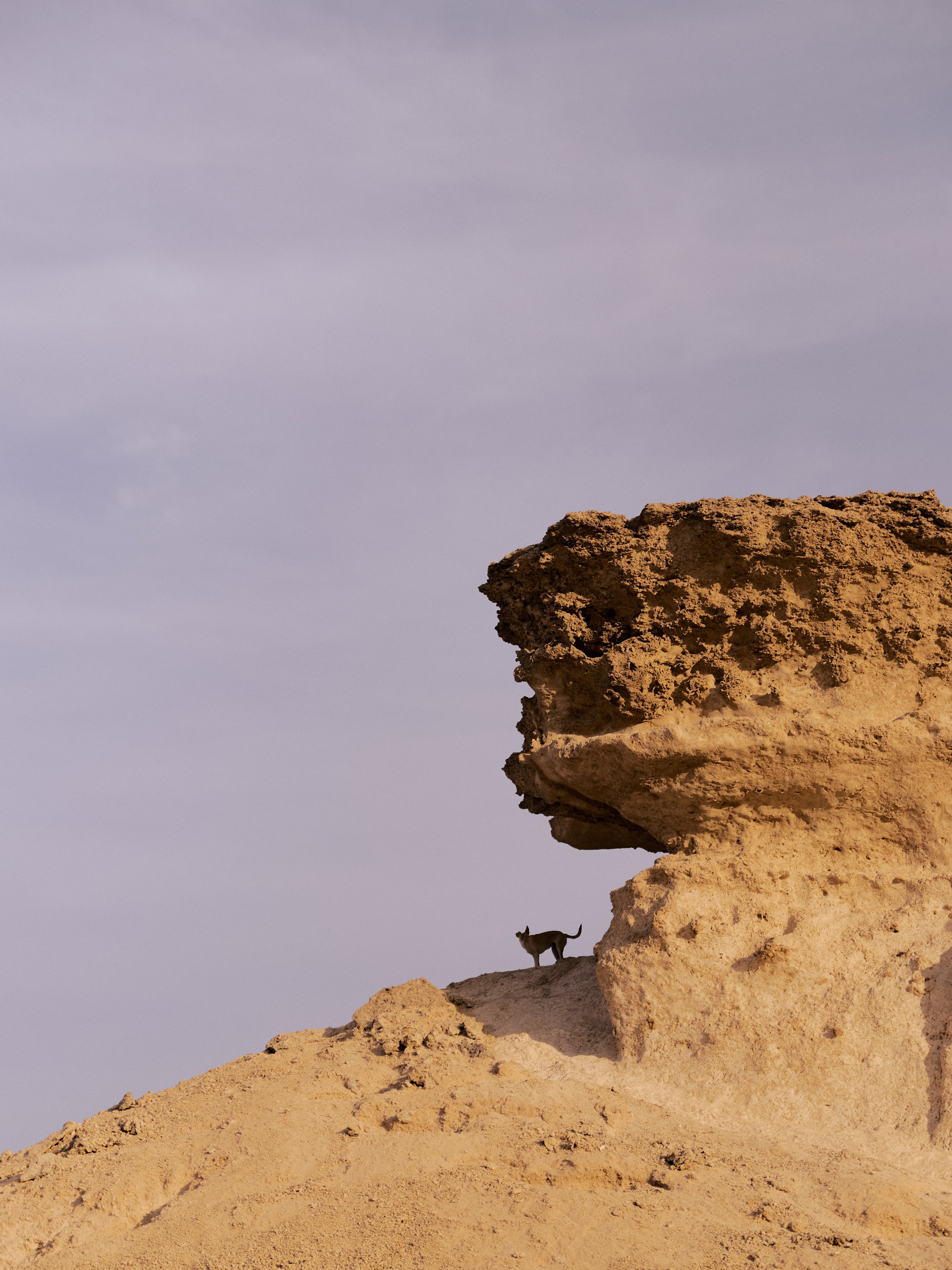 Природа. Jorgis Talè — photographer, kind person, teacher of arts and other mag