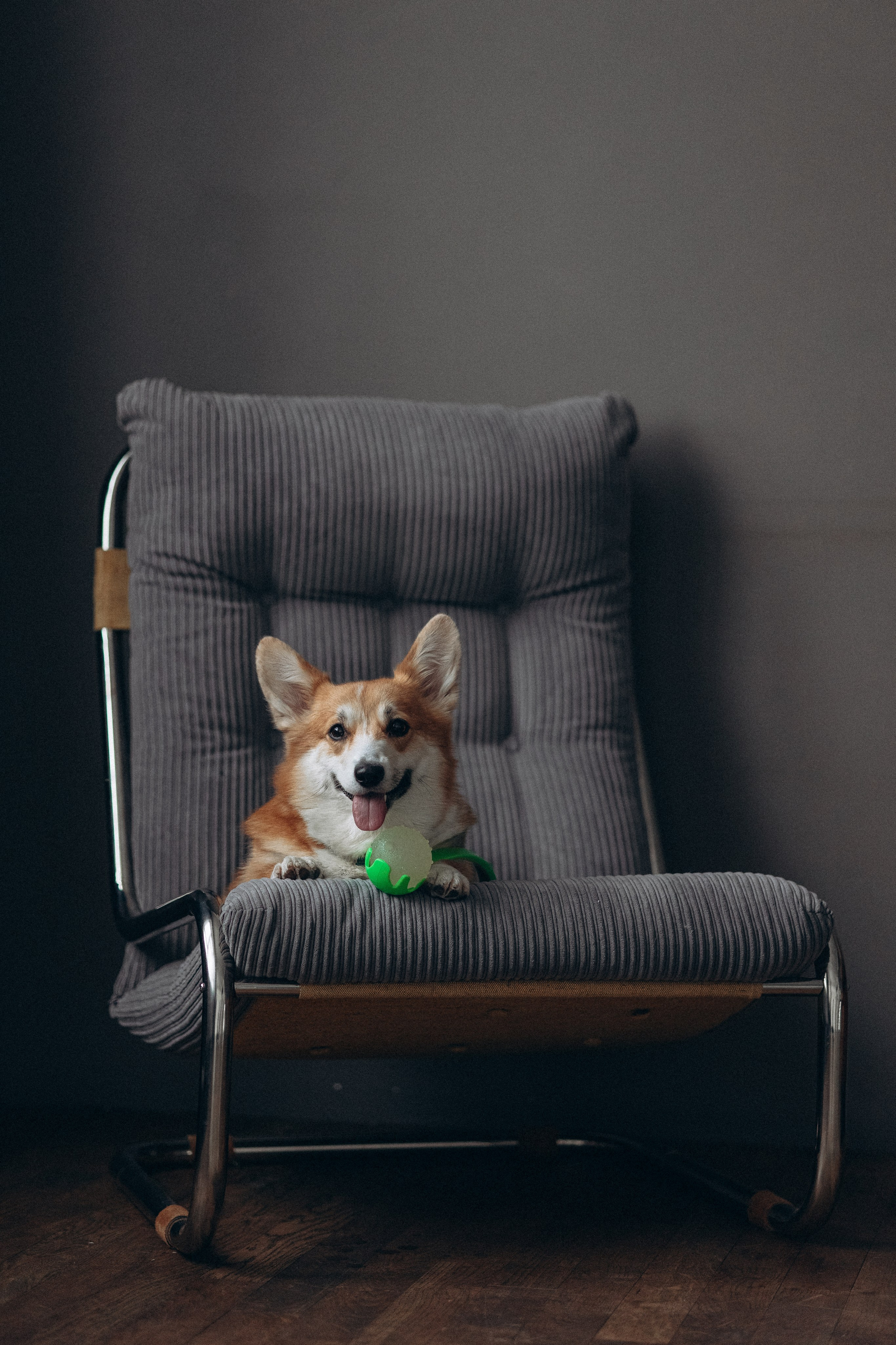 Катапульты. Фотораф — анималист Мария Шистка