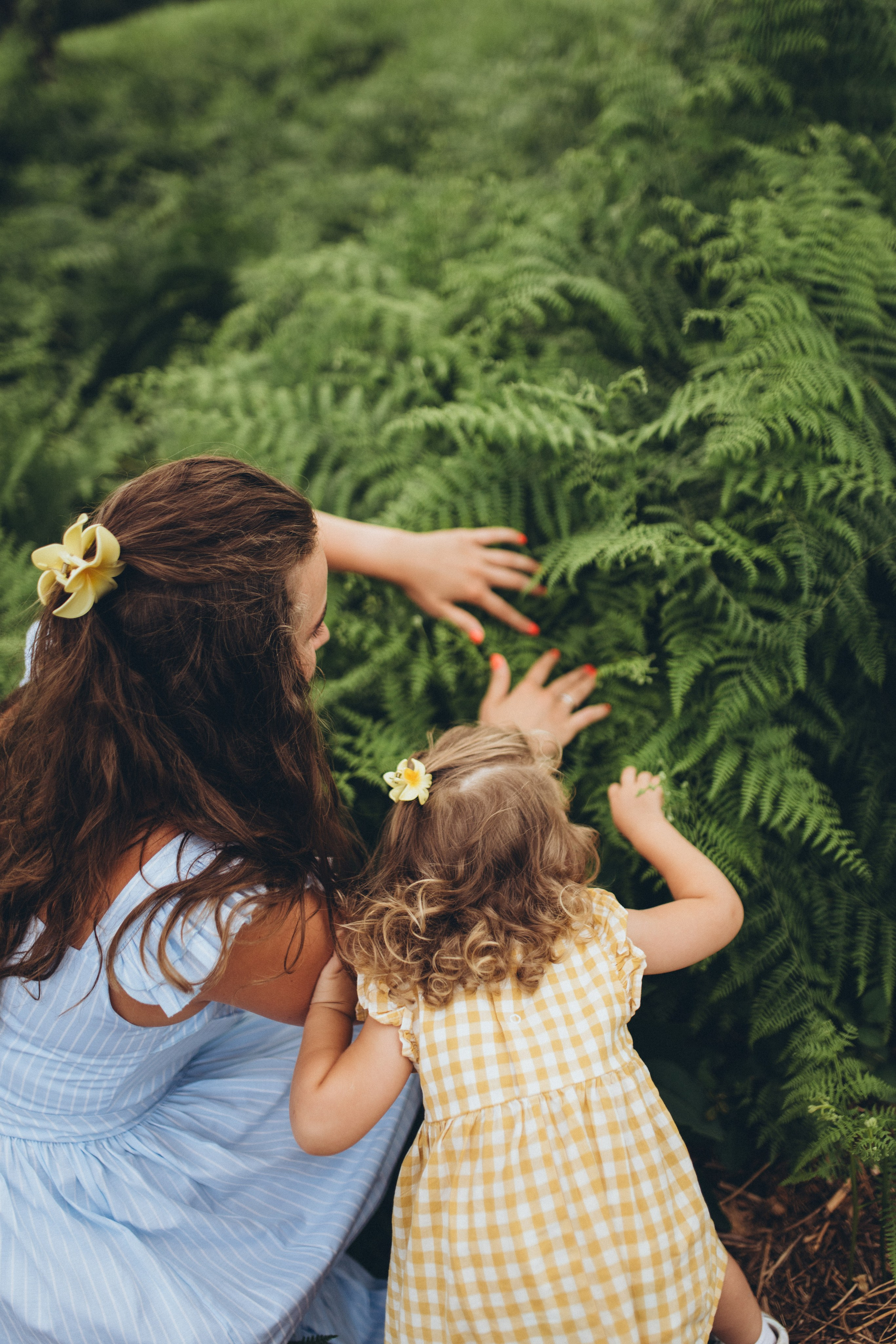 Семейная фотосессия на чайной плантации Сочи. Фотограф в Сочи — Маргарита Поганова