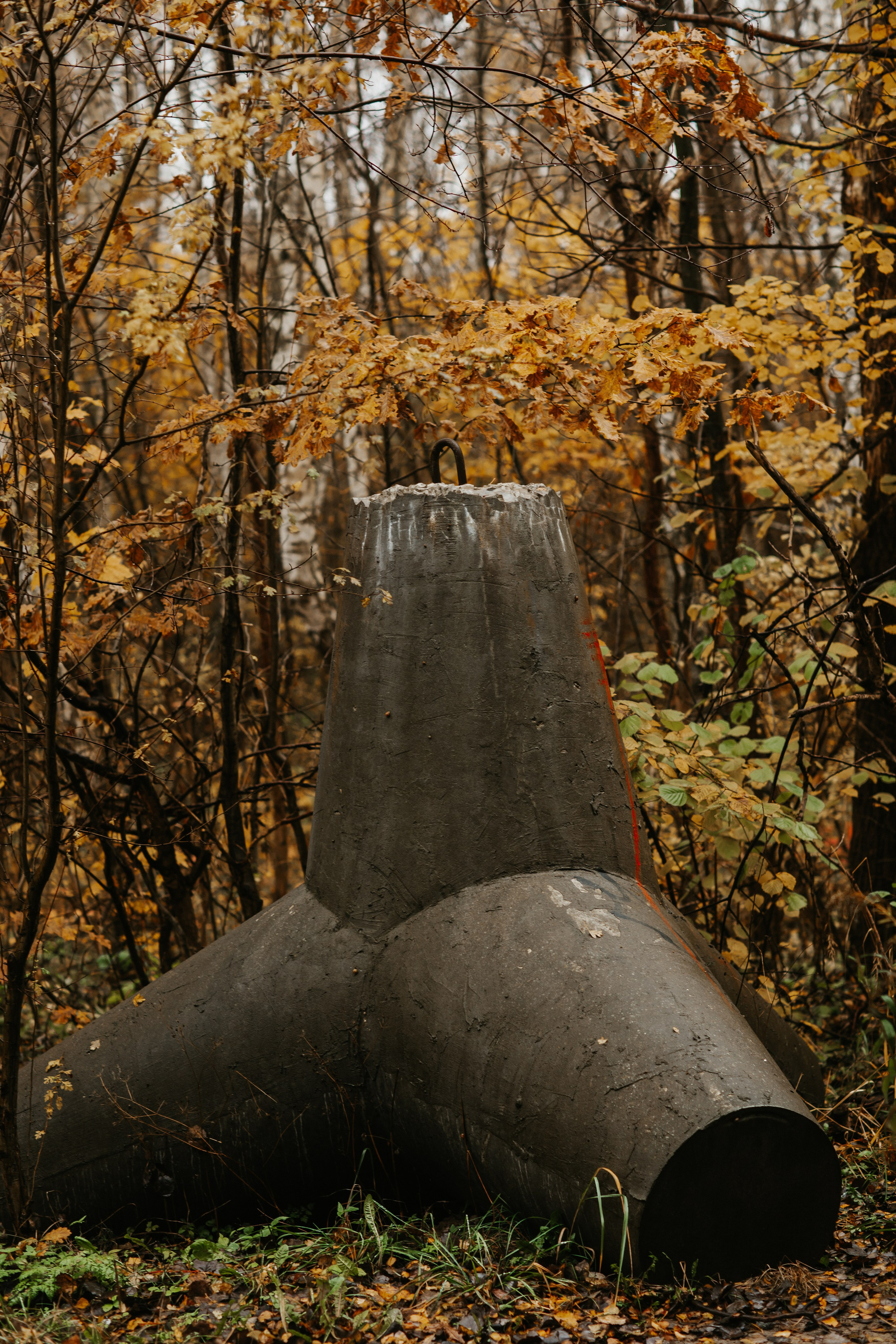 Фотосессия в Балтийске. Https://malovafoto.ru